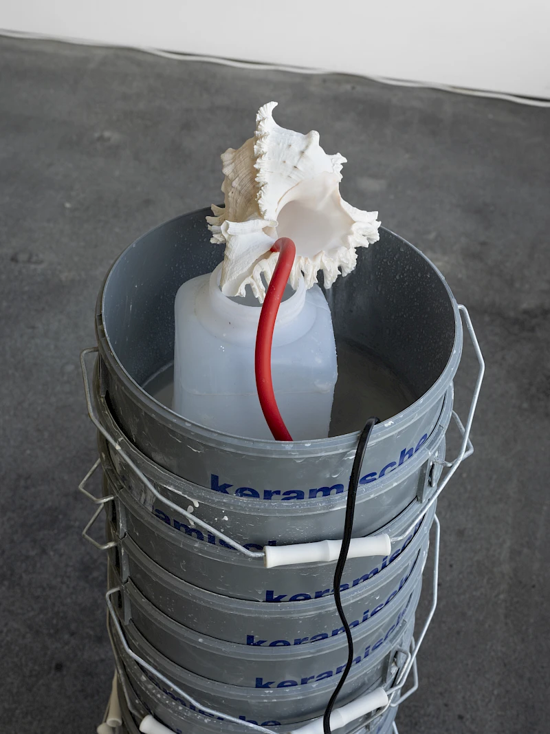 Exhibition View Solo Show Vanessa Safavi «Waves in the Closet» at Tunnel Tunnel, Lausanne, 2025 / Photo: Julien Gremaud / Courtesy: the artist and Tunnel Tunnel