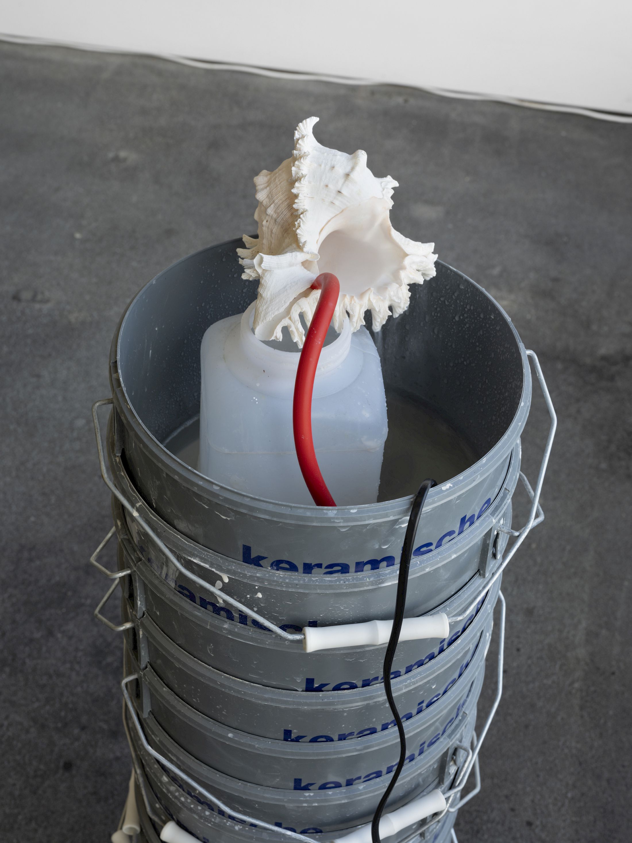 Exhibition View Solo Show Vanessa Safavi «Waves in the Closet» at Tunnel Tunnel, Lausanne, 2025 / Photo: Julien Gremaud / Courtesy: the artist and Tunnel Tunnel