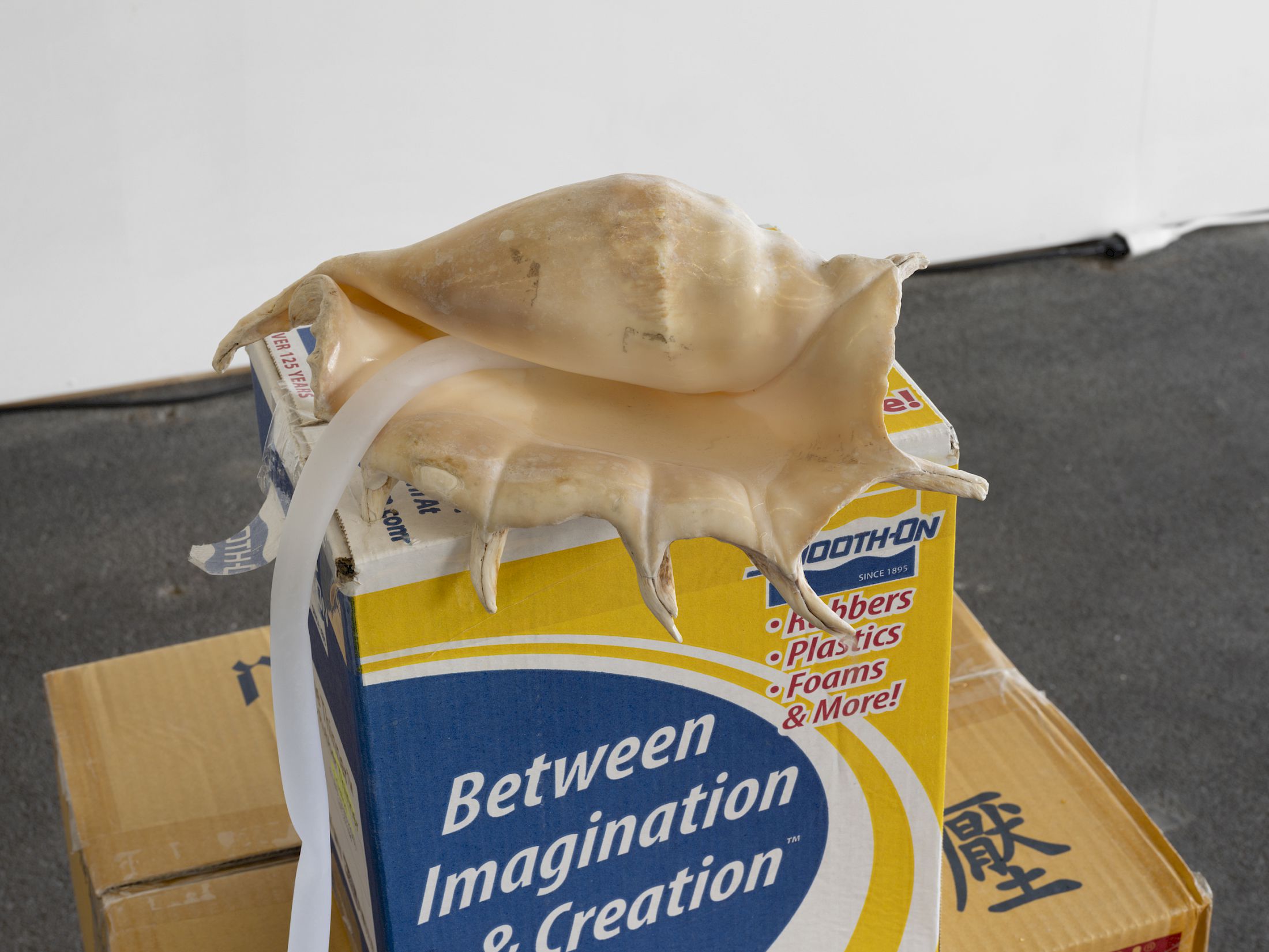 Exhibition View Solo Show Vanessa Safavi «Waves in the Closet» at Tunnel Tunnel, Lausanne, 2025 / Photo: Julien Gremaud / Courtesy: the artist and Tunnel Tunnel