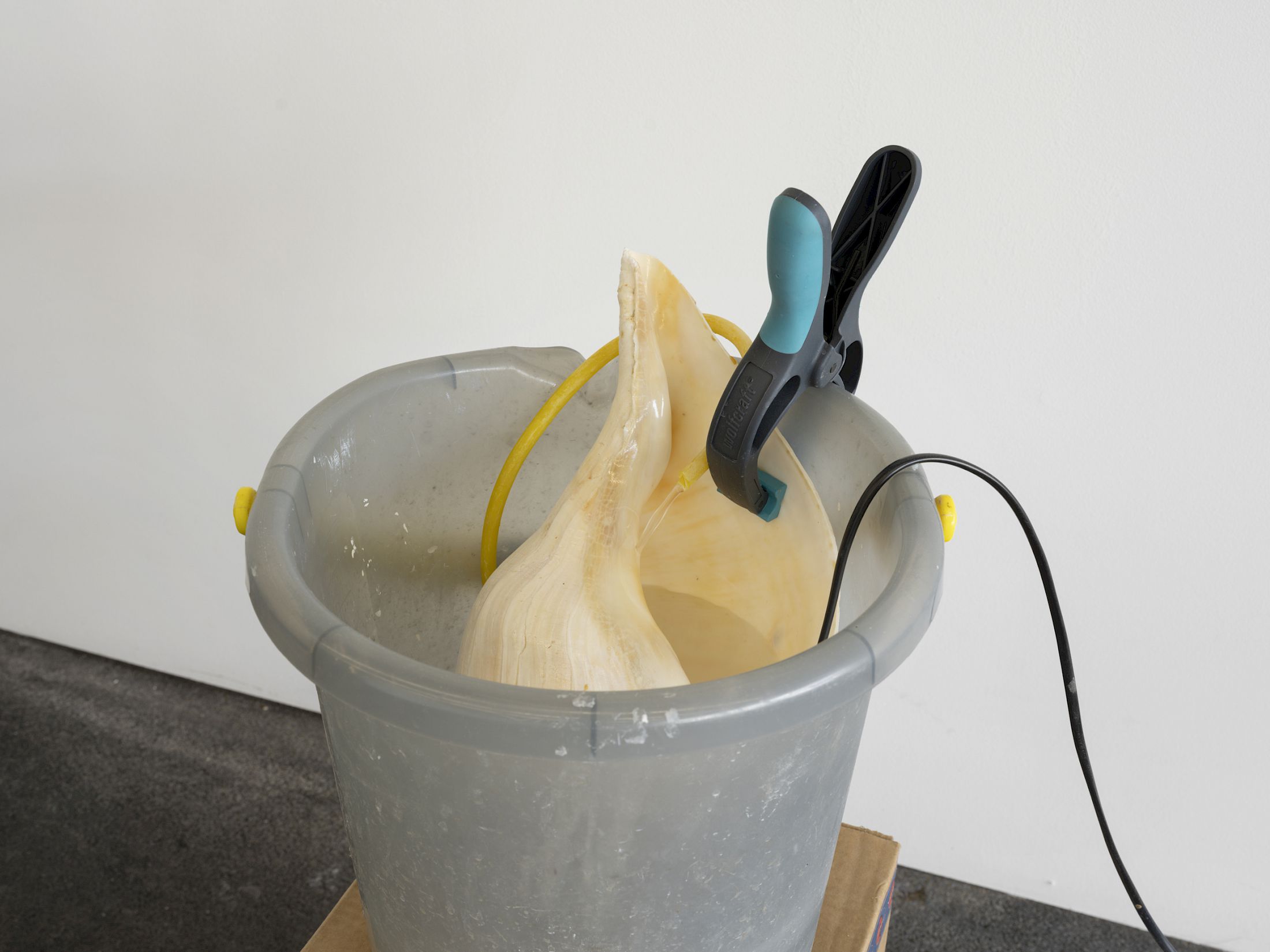 Exhibition View Solo Show Vanessa Safavi «Waves in the Closet» at Tunnel Tunnel, Lausanne, 2025 / Photo: Julien Gremaud / Courtesy: the artist and Tunnel Tunnel