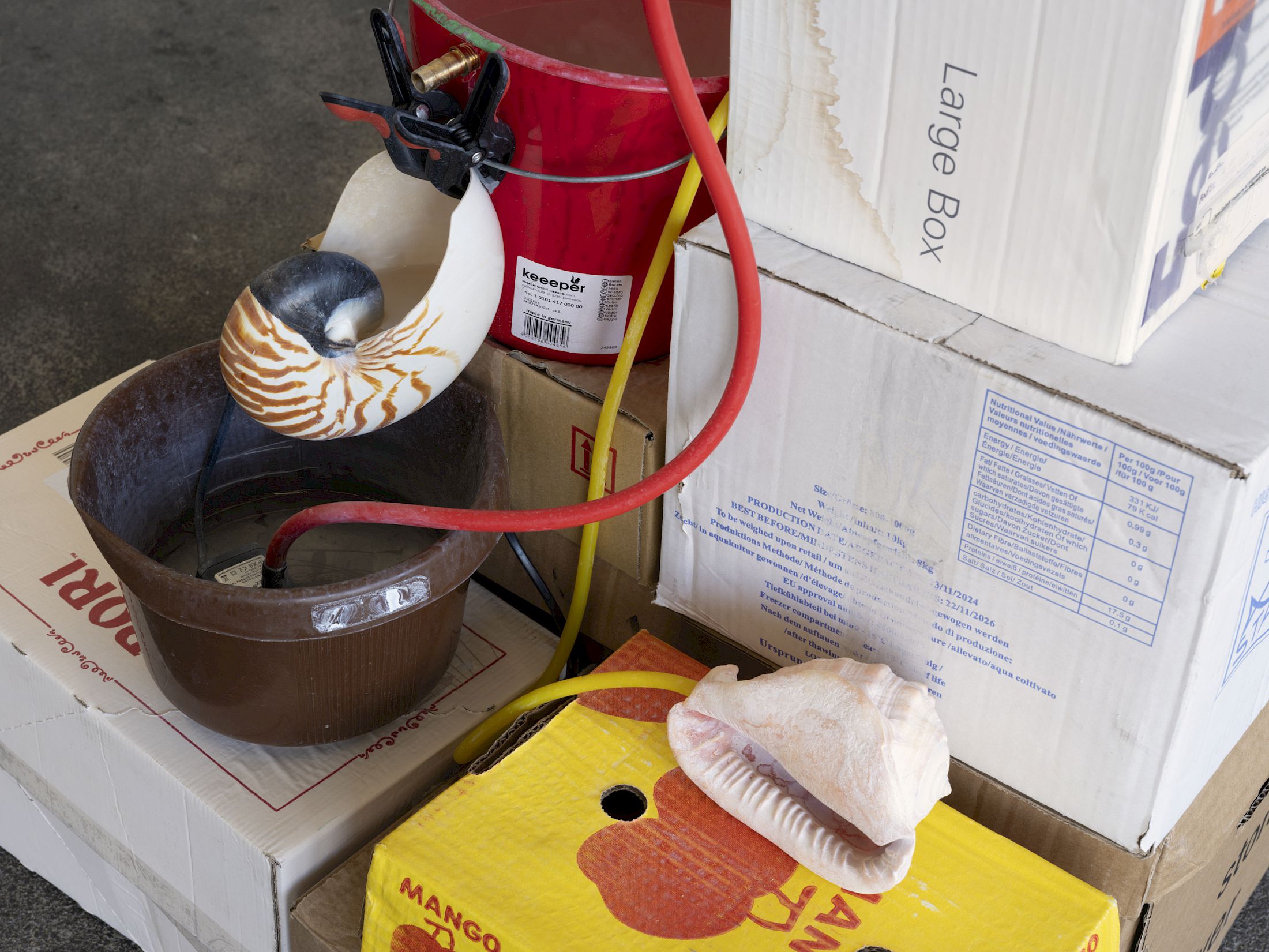 Exhibition View Solo Show Vanessa Safavi «Waves in the Closet» at Tunnel Tunnel, Lausanne, 2025 / Photo: Julien Gremaud / Courtesy: the artist and Tunnel Tunnel