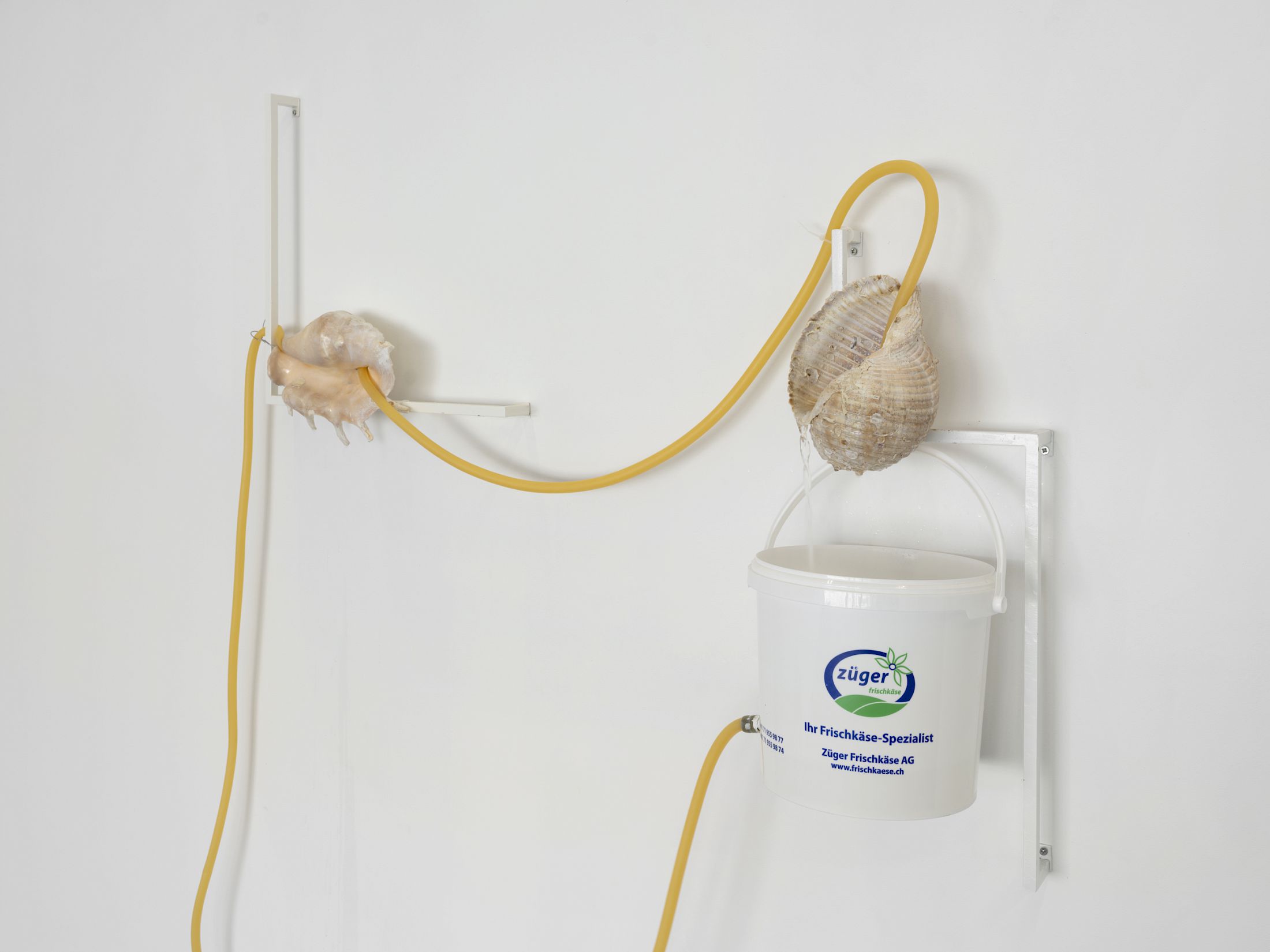 Exhibition View Solo Show Vanessa Safavi «Waves in the Closet» at Tunnel Tunnel, Lausanne, 2025 / Photo: Julien Gremaud / Courtesy: the artist and Tunnel Tunnel