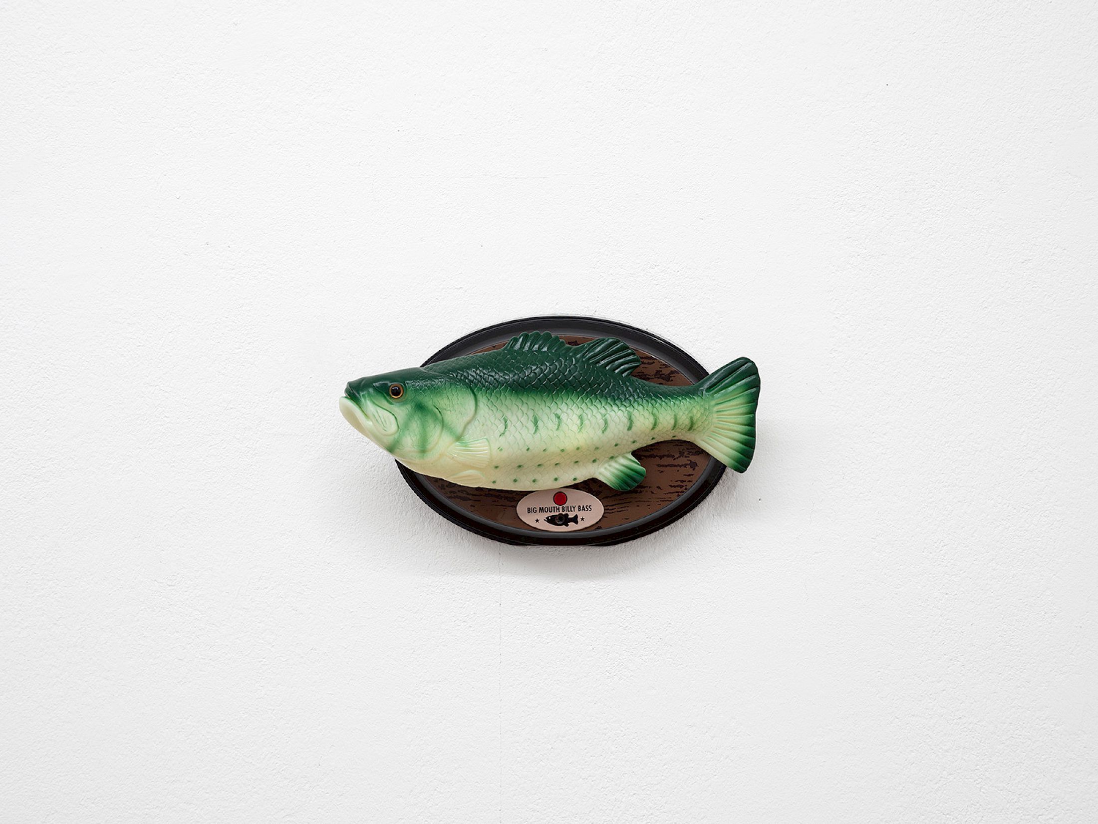 Exhibition View Solo Show alfatih «Time Leaks ; view on Adagio for fish: Brenda, 2026» at Kunsthaus Langenthal, Langenthal, 2026 / Photo: Cedric Mussano / Courtesy:  the artist and Kunsthaus Langenthal