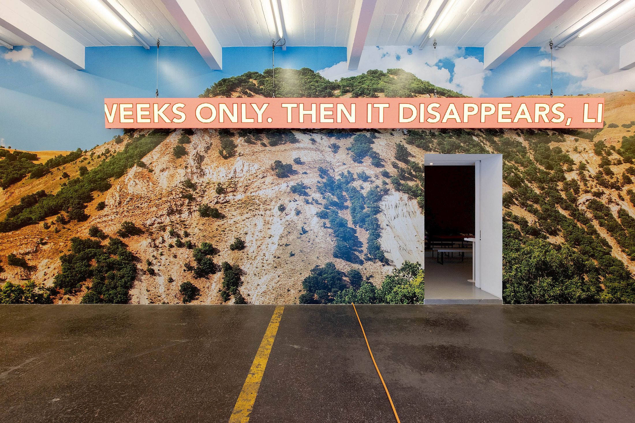 Exhibition View Solo Show Cemile Sahin «BB – BORN TO BLOOM ; view on BB – BORN TO BLOOM, 2025, 4-channel video installation on LED screens with sound, 5min 10s, wallpaper» at Kunst Halle Sankt Gallen, Sankt Gallen, 2025 / Photo: E. Sommer / Courtesy: the artist and Esther Schipper, Berlin/Paris/Seoul