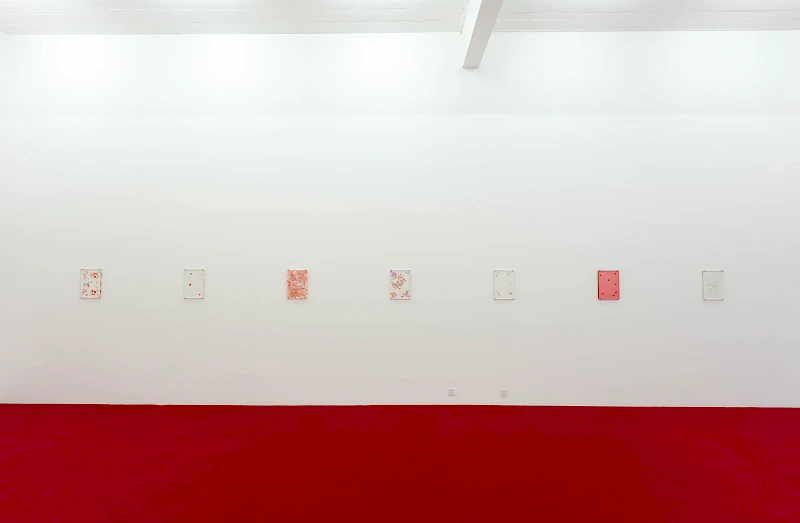 Exhibition View Solo Show Cemile Sahin «BB – BORN TO BLOOM» at Kunst Halle Sankt Gallen, Sankt Gallen, 2025 / Photo: E. Sommer / Courtesy: the artist and Esther Schipper, Berlin/Paris/Seoul