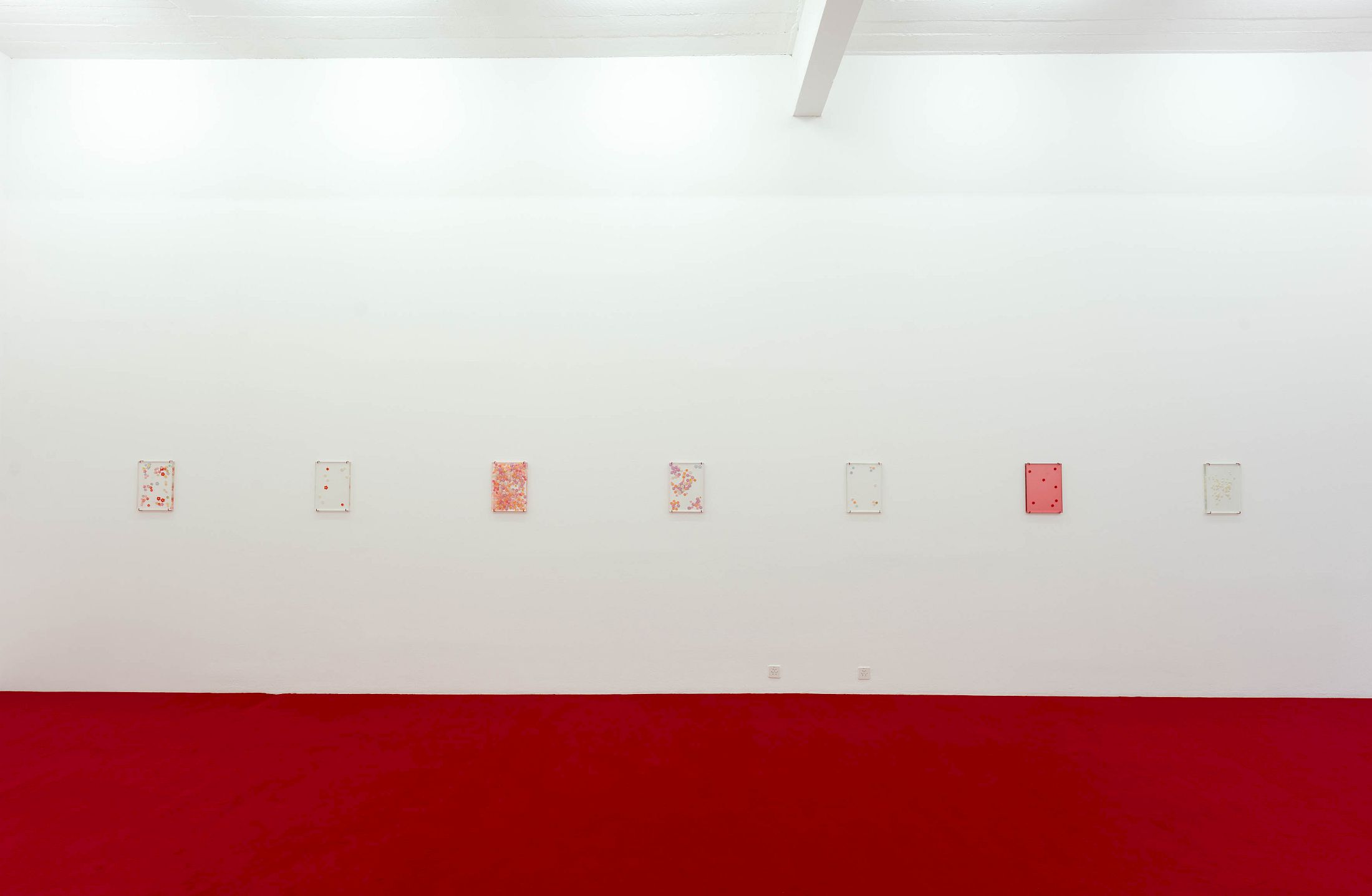 Exhibition View Solo Show Cemile Sahin «BB – BORN TO BLOOM» at Kunst Halle Sankt Gallen, Sankt Gallen, 2025 / Photo: E. Sommer / Courtesy: the artist and Esther Schipper, Berlin/Paris/Seoul