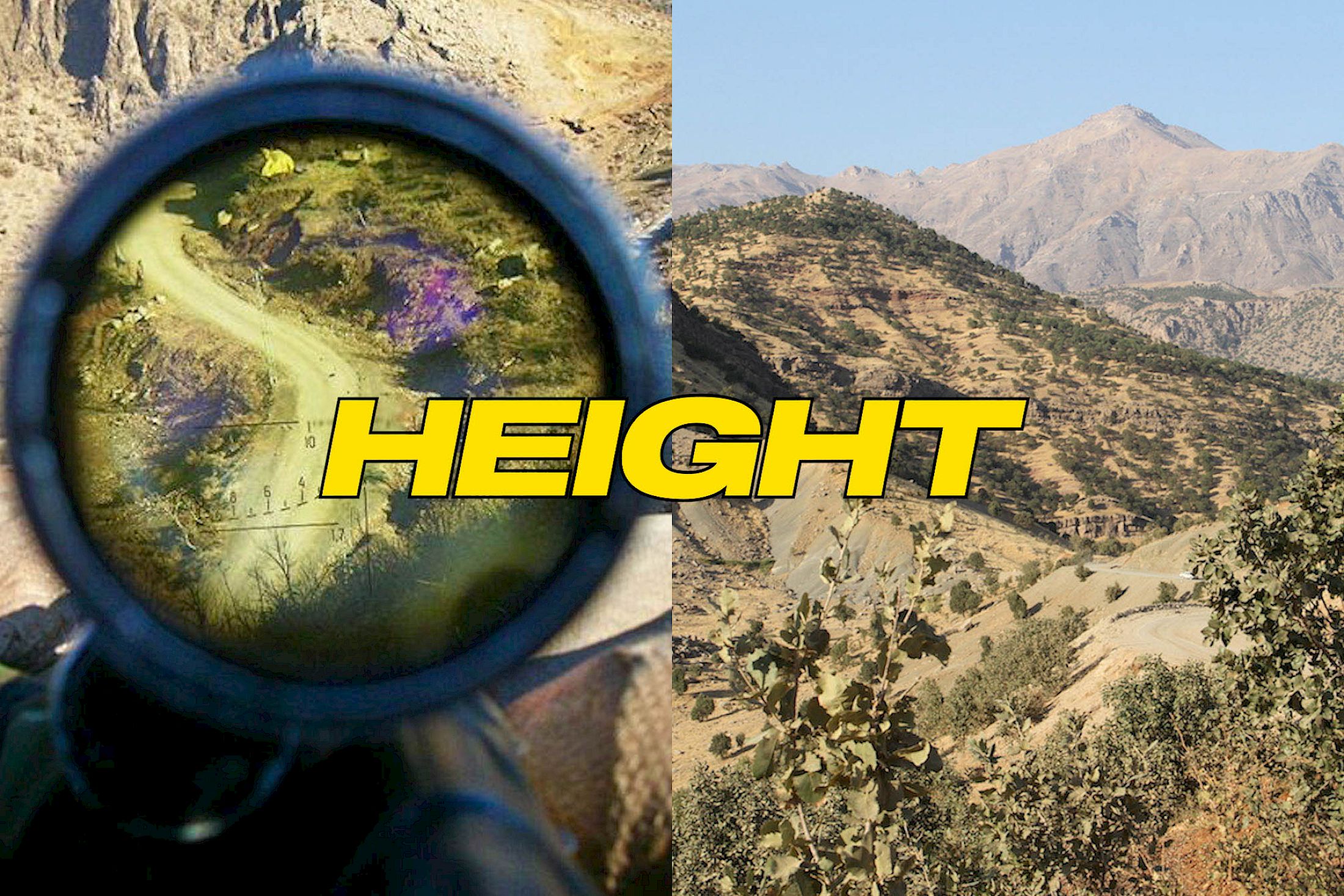 Exhibition View Solo Show Cemile Sahin «BB – BORN TO BLOOM ; view on BB – BORN TO BLOOM, video still (montage), 2025» at Kunst Halle Sankt Gallen, Sankt Gallen, 2025 / Photo: E. Sommer / Courtesy: the artist and Esther Schipper, Berlin/Paris/Seoul