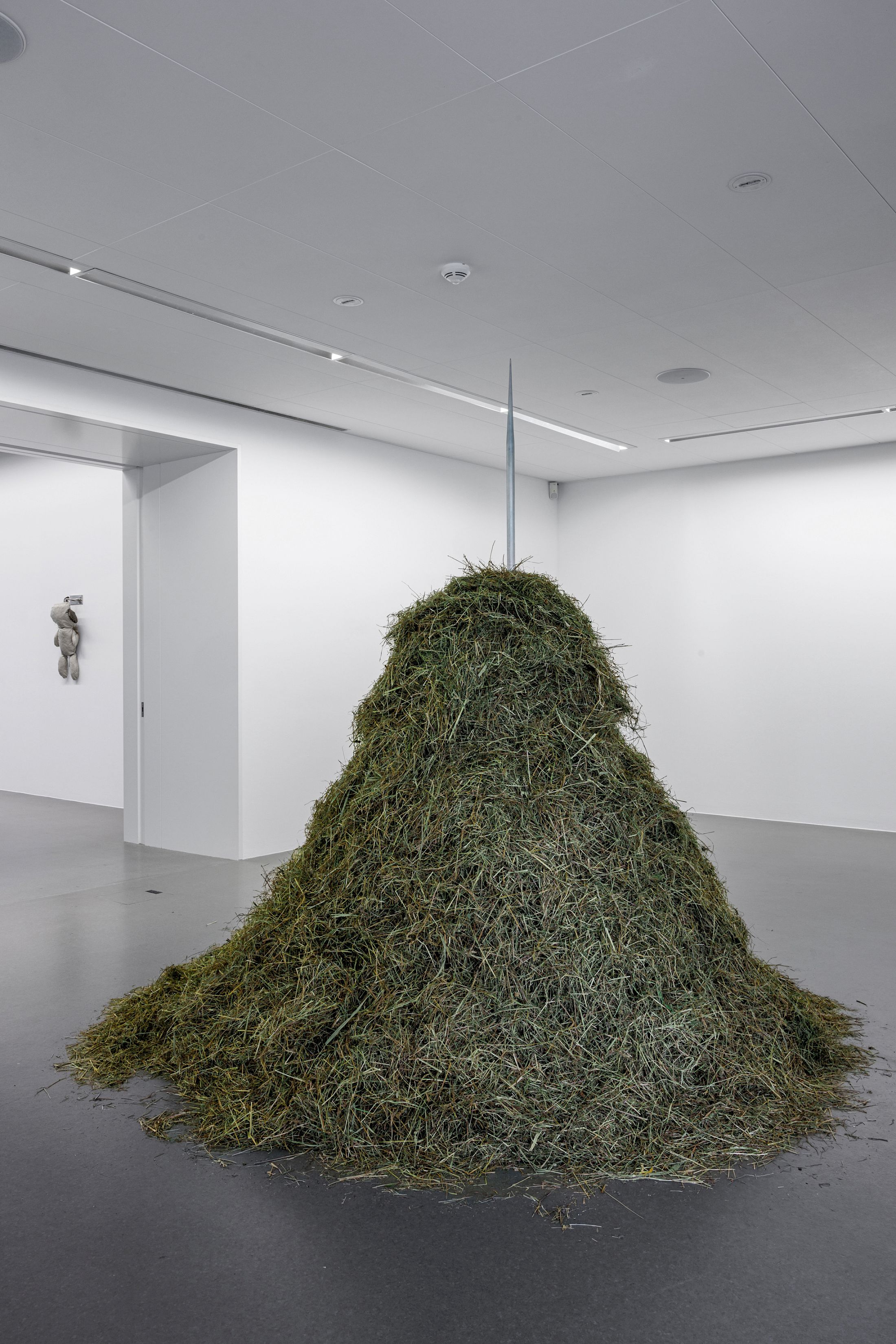 Exhibition View Dorota Gawęda & Eglė Kulbokaitė Solo Show «Death by Landscape; view on Dorota Gawęda & Eglė Kulbokaitė, Hexanol (IV), 2020, polished steel, meadow hay, 230 x 100 x 96 cm» at Haus für Kunst Uri, Altdorf, 2025 / Photo: Franz-Xaver Brun / Courtesy: the artists and Haus für Kunst Uri