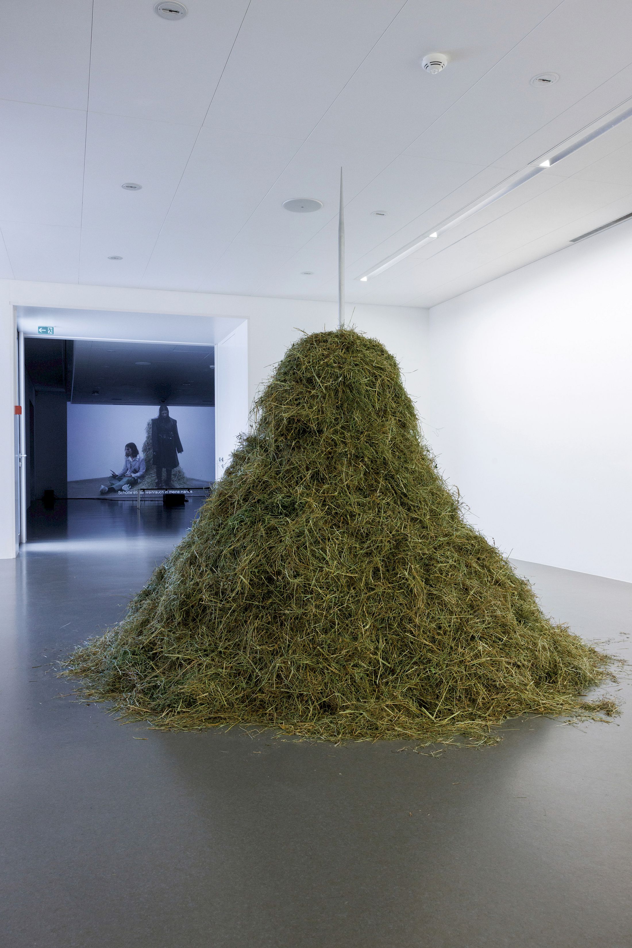 Exhibition View Dorota Gawęda & Eglė Kulbokaitė Solo Show «Death by Landscape; view on Dorota Gawęda & Eglė Kulbokaitė, Hexanol (IV), 2020, polished steel, meadow hay, 230 x 100 x 96 cm and Mouthless Part I, 2020, HD film and sound, 45’26’» at Haus für Kunst Uri, Altdorf, 2025 / Photo: Franz-Xaver Brun / Courtesy: the artists and Haus für Kunst Uri