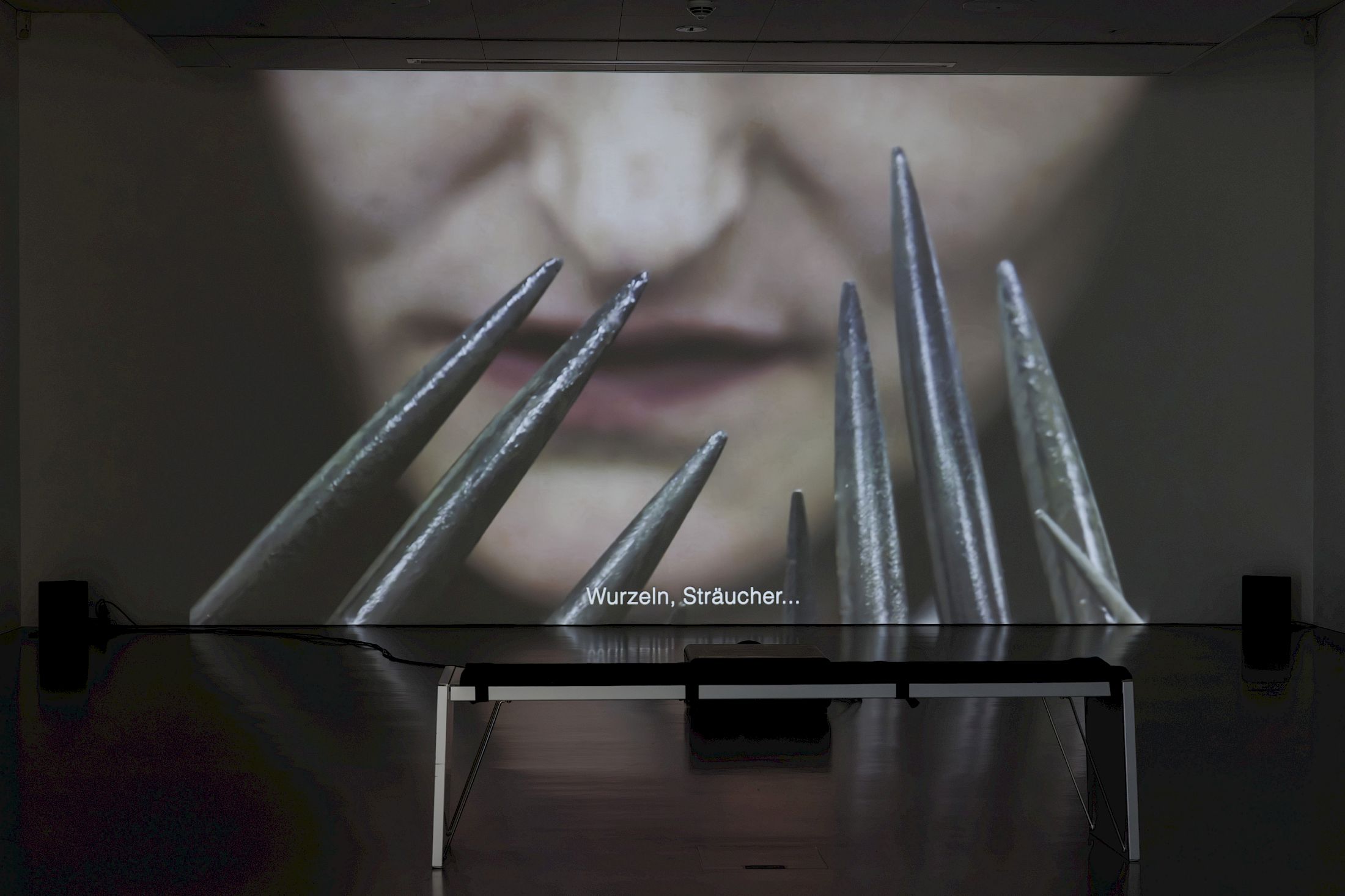 Exhibition View Dorota Gawęda & Eglė Kulbokaitė Solo Show «Death by Landscape; view on Dorota Gawęda & Eglė Kulbokaitė, Mouthless Part I, 2020, HD film and sound, 45’26’’» at Haus für Kunst Uri, Altdorf, 2025 / Photo: Franz-Xaver Brun / Courtesy: the artists and Haus für Kunst Uri