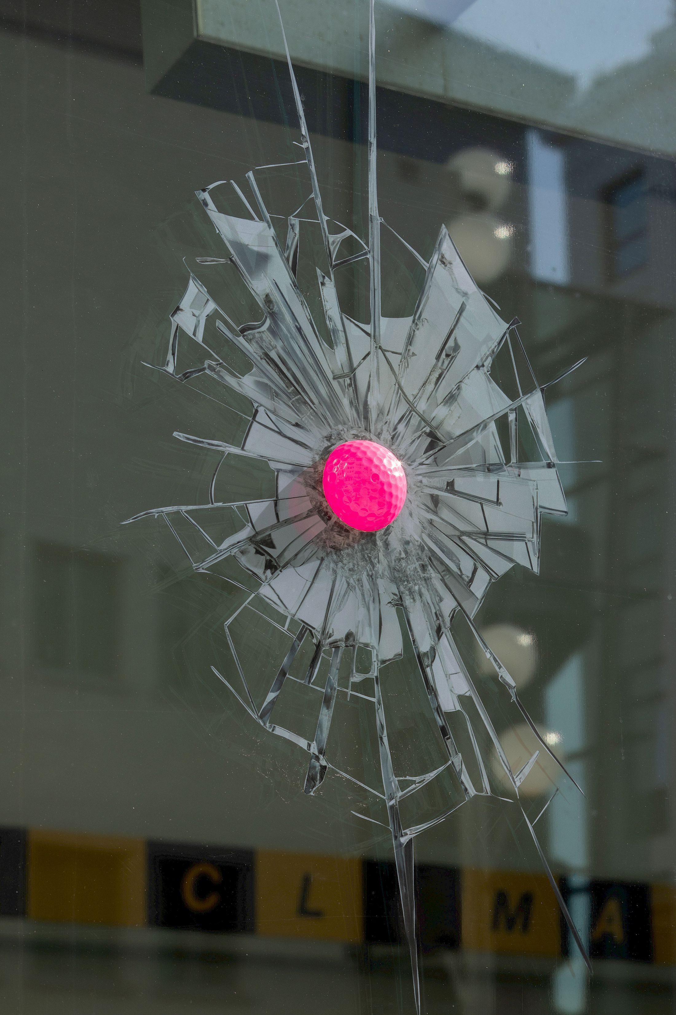 Exhibition View Duo Show Gabriele Garavaglia & Miriam Laura Leonardi «Deadline With The World ; view on Miriam Laura Leonardi, Open Season, 2025» at Istituto Svizzero, Milano, 2025 / Photo: Giulio Boem / Courtesy: the artists and Istituto Svizzero, Milano