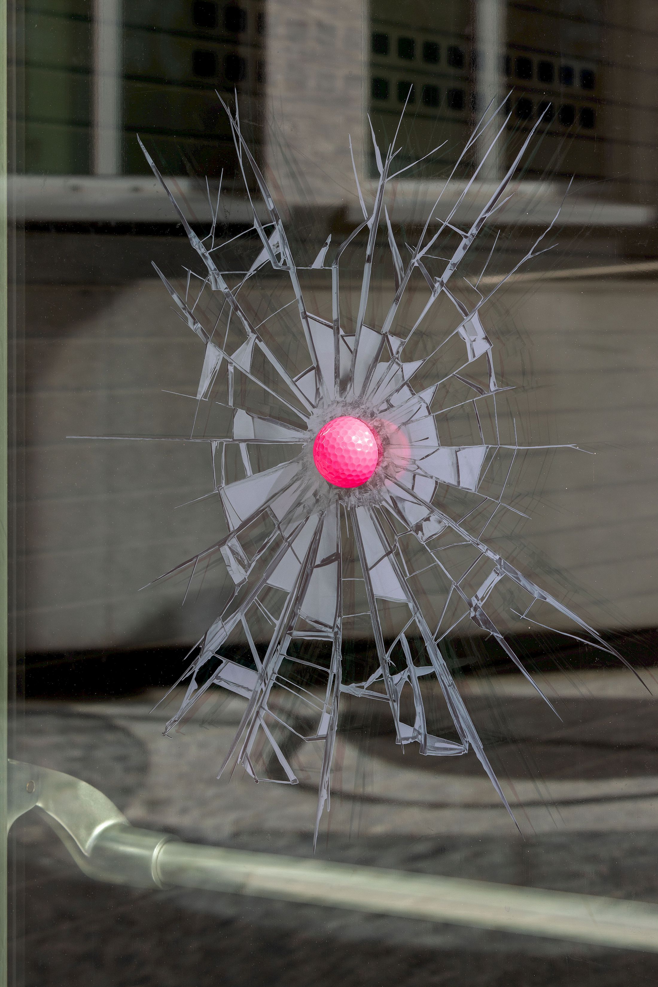 Exhibition View Duo Show Gabriele Garavaglia & Miriam Laura Leonardi «Deadline With The World ; view on Miriam Laura Leonardi, Open Season, 2025» at Istituto Svizzero, Milano, 2025 / Photo: Giulio Boem / Courtesy: the artists and Istituto Svizzero, Milano