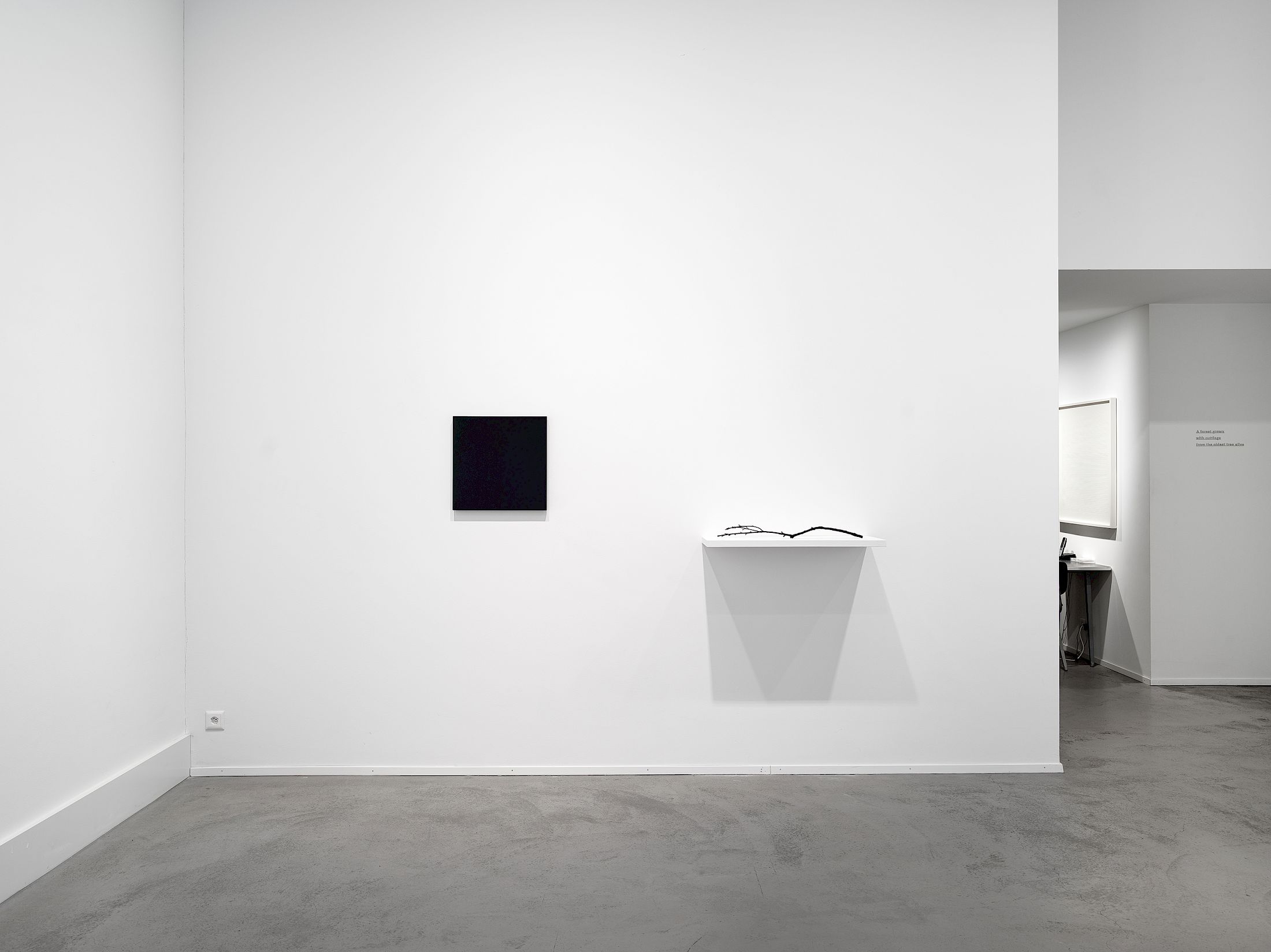 Exhibition View Solo Show Katie Paterson «True North» at Galerie Tschudi, Zurich, 2026 / Photo: Cedric Mussano / Courtesy: the artist and Ingleby, and Galerie Tschudi