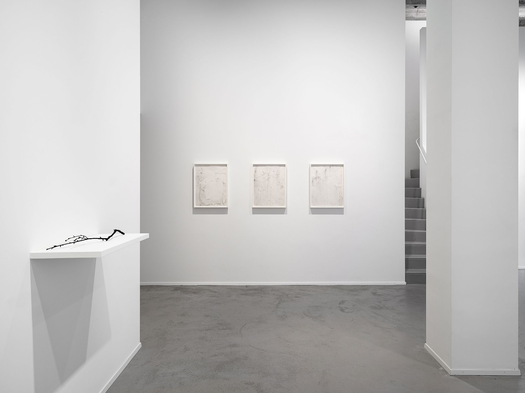 Exhibition View Solo Show Katie Paterson «True North» at Galerie Tschudi, Zurich, 2026 / Photo: Cedric Mussano / Courtesy: the artist and Ingleby, and Galerie Tschudi