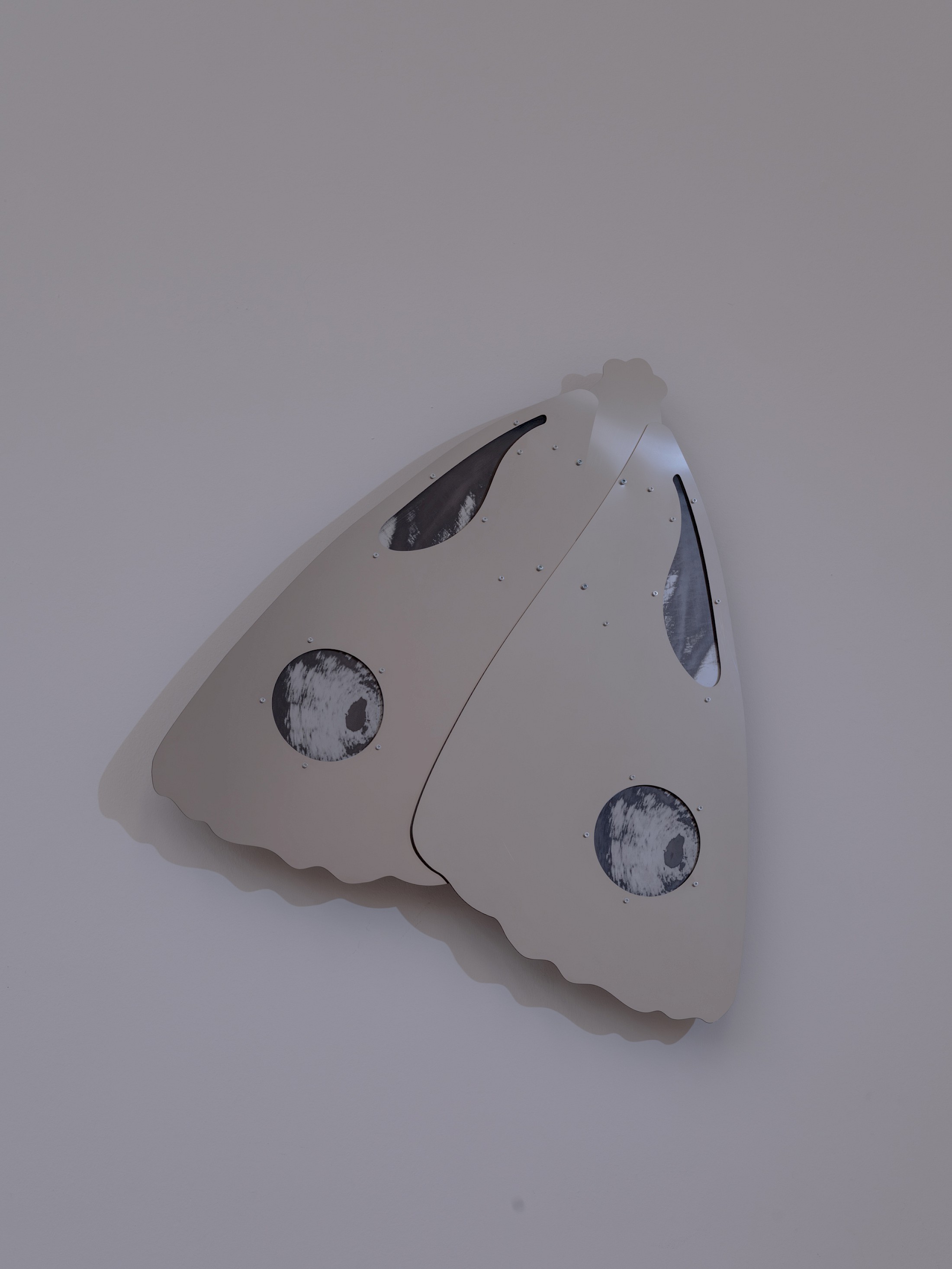 Exhibition View Solo Show Anita Muçolli «Navigating Estrangement» at Kunsthaus Biel / Centre d’Art Bienne, Biel/Bienne, 2026 / Photo: Lea Kunz / Courtesy:  the artist and Kunsthaus Biel / Centre d’Art Bienne