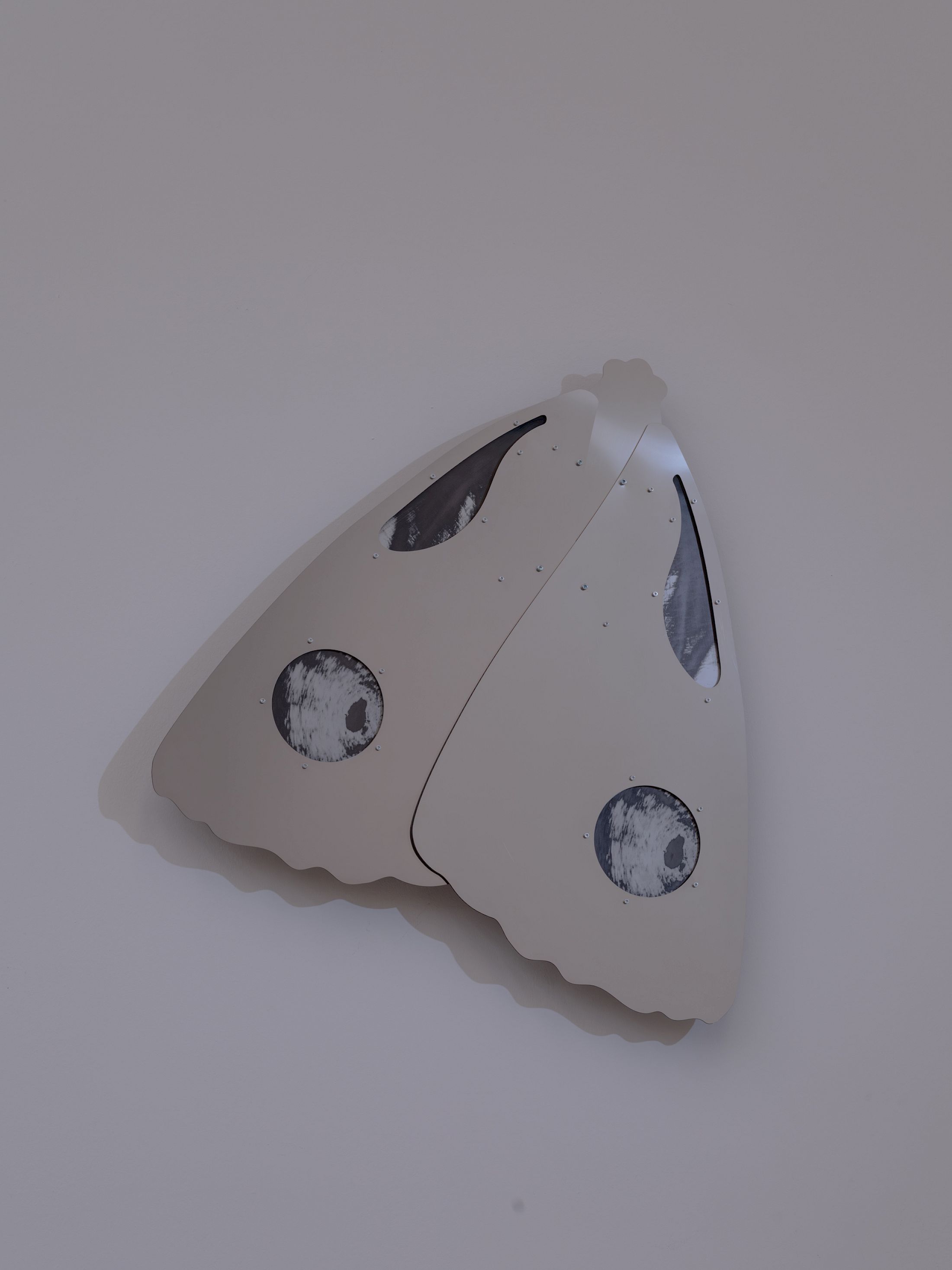 Exhibition View Solo Show Anita Muçolli «Navigating Estrangement» at Kunsthaus Biel / Centre d’Art Bienne, Biel/Bienne, 2026 / Photo: Lea Kunz / Courtesy:  the artist and Kunsthaus Biel / Centre d’Art Bienne