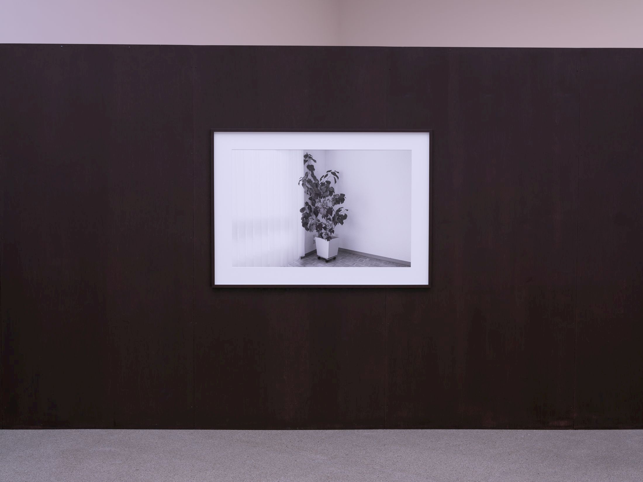 Exhibition View Solo Show Anita Muçolli «Navigating Estrangement» at Kunsthaus Biel / Centre d’Art Bienne, Biel/Bienne, 2026 / Photo: Lea Kunz / Courtesy:  the artist and Kunsthaus Biel / Centre d’Art Bienne