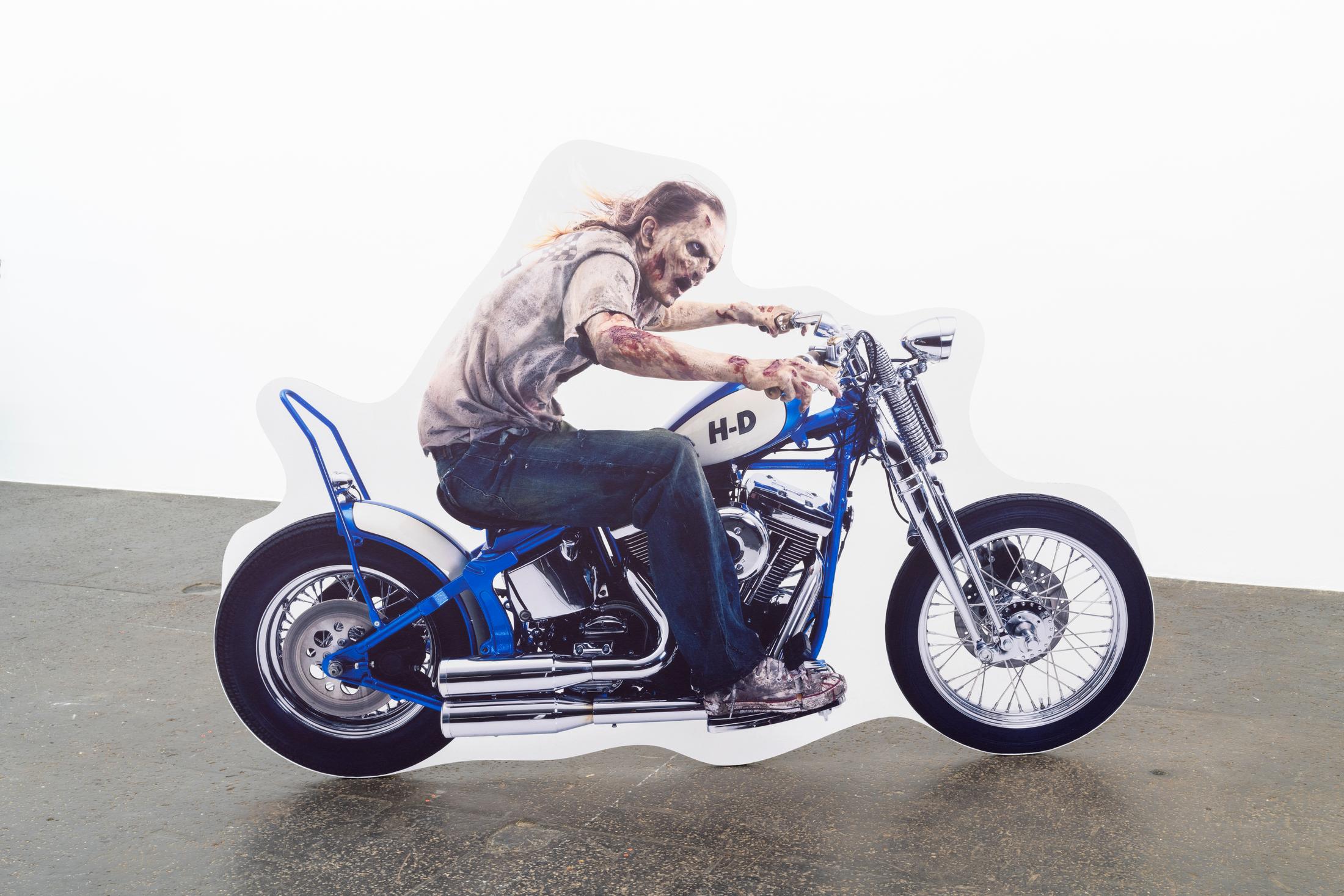 Exhibition View Group Show «ALL I EAT IN A DAY; view on Gabriele Garavaglia, Resilience HD, 2024» at Kunst Halle Sankt Gallen, Sankt Gallen, 2024 / Photo: E. Sommer / Courtesy: the artist