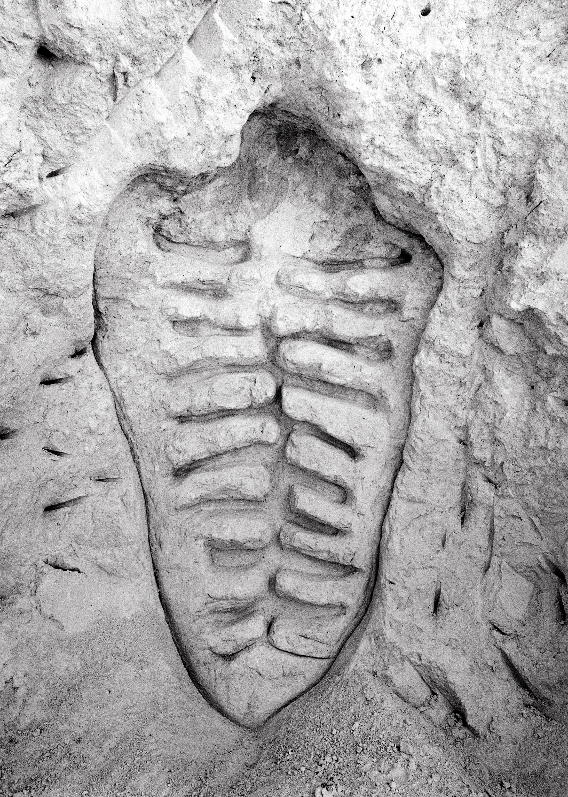 Exhibition View Solo Show Ana Mendieta «Search for origins; view on Ana Mendieta, Itiba Cahubaba (Esculturas Rupestres), 1981» at Musée des beaux-arts La Chaux-de-Fonds, La Chaux-de-Fonds, 2024 / Photo: Gaspard Gigon / Courtesy: The Estate of Ana Mendieta Collection, LLC. Courtesy Galerie Lelong & Co