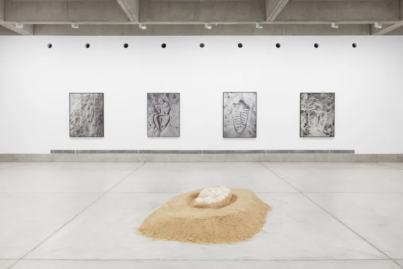 Exhibition View Solo Show Ana Mendieta «Search for origins» at Musée des beaux-arts La Chaux-de-Fonds, La Chaux-de-Fonds, 2024 / Photo: Gaspard Gigon / Courtesy: The Estate of Ana Mendieta Collection, LLC. Courtesy Galerie Lelong & Co