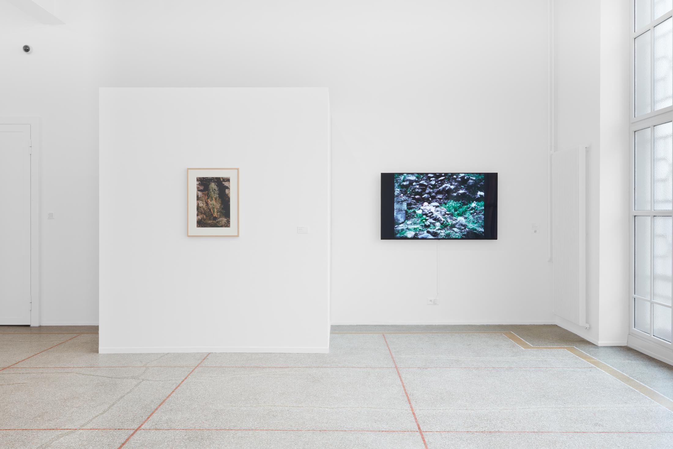 Exhibition View Solo Show Ana Mendieta «Search for origins» at Musée des beaux-arts La Chaux-de-Fonds, La Chaux-de-Fonds, 2024 / Photo: Gaspard Gigon / Courtesy: The Estate of Ana Mendieta Collection, LLC. Courtesy Galerie Lelong & Co