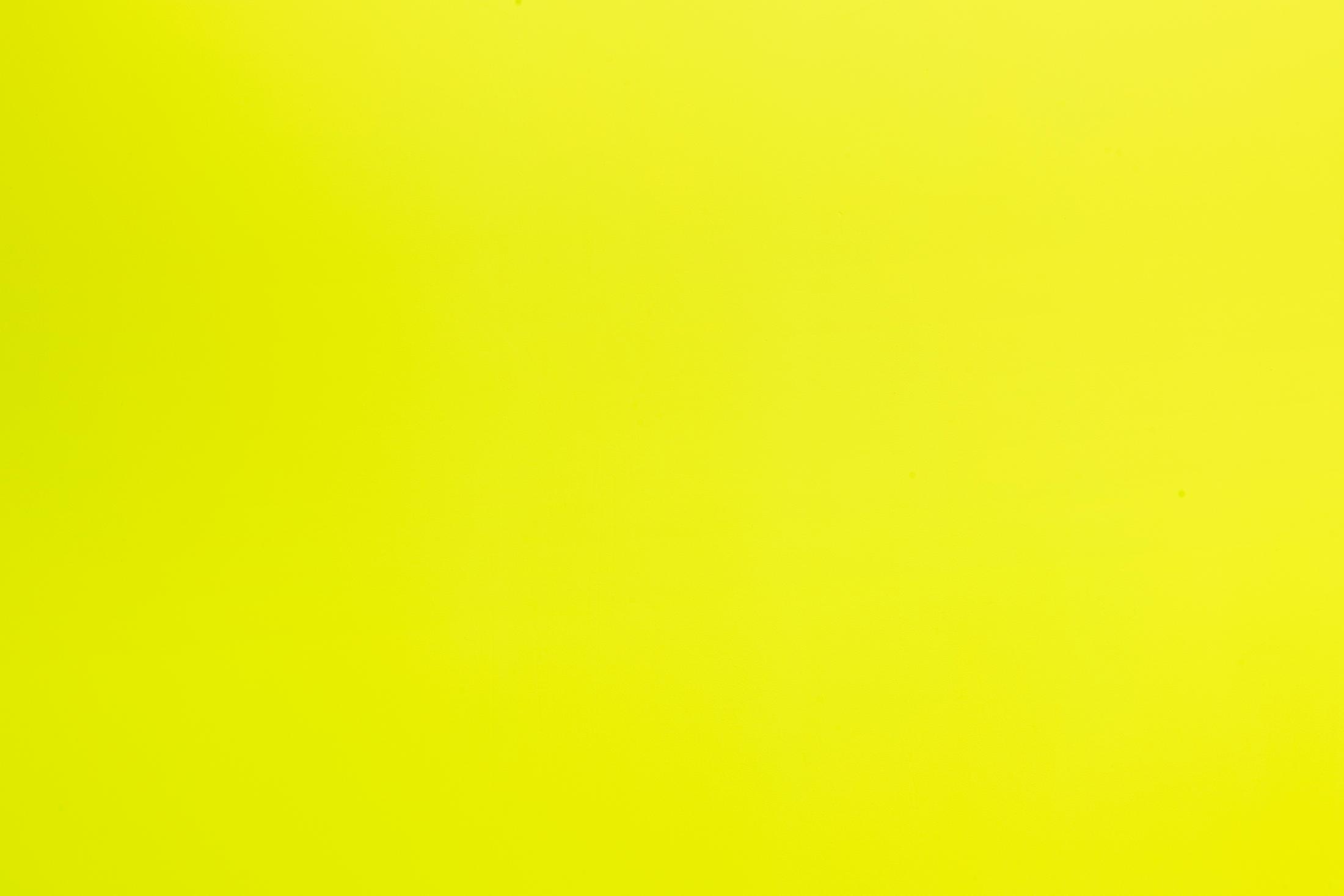 Baker Wardlaw, Solo show, «Crisis Actor», curated by Valerie Keller and Matthias Liechti, at For, Basel, 2024 / Photo: Gina Folly / Courtesy: the artist and For, Basel