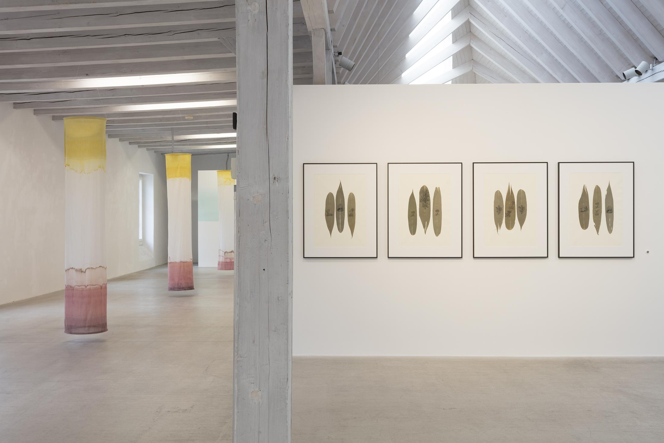 Exhibition View Solo Show Benoît Billotte «Humaine Nature» at Kunst(Zeug)Haus Rapperswil, Rapperswil, 2024 / Photo: Andri Stadler / Courtesy: The artist and Kunst(Zeug)Haus Rapperswil