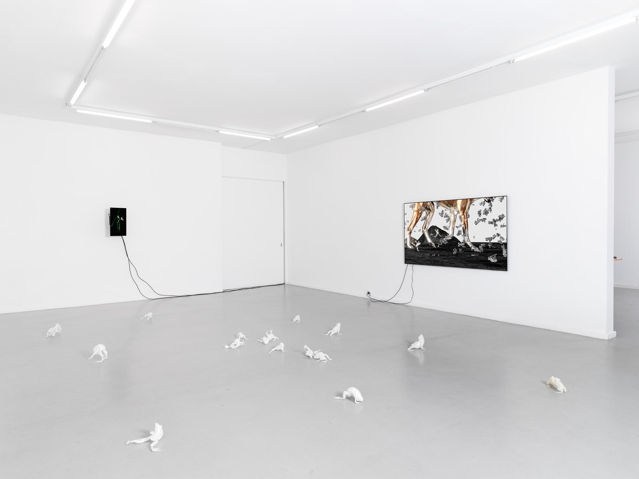 Exhibition View Solo Show Caroline Schattling Villeval «Carences et toute-puissance» at Centre d'édition contemporaine, Geneva, 2024 / Photo: Sandra Pointet / Courtesy: the artist and Centre d'édition contemporaine, Geneva
