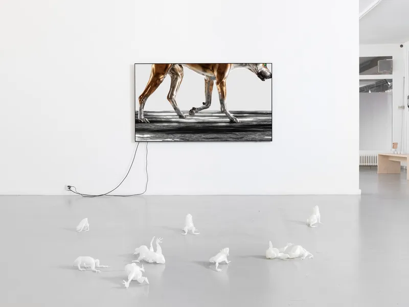 Exhibition View Solo Show Caroline Schattling Villeval «Carences et toute-puissance; view on Caroline Schattling Villeval, When a frog meets a dog, 2024, animation video, colour, 5’, loop» at Centre d'édition contemporaine, Geneva, 2024 / Photo: Sandra Pointet / Courtesy: the artist and Centre d'édition contemporaine, Geneva