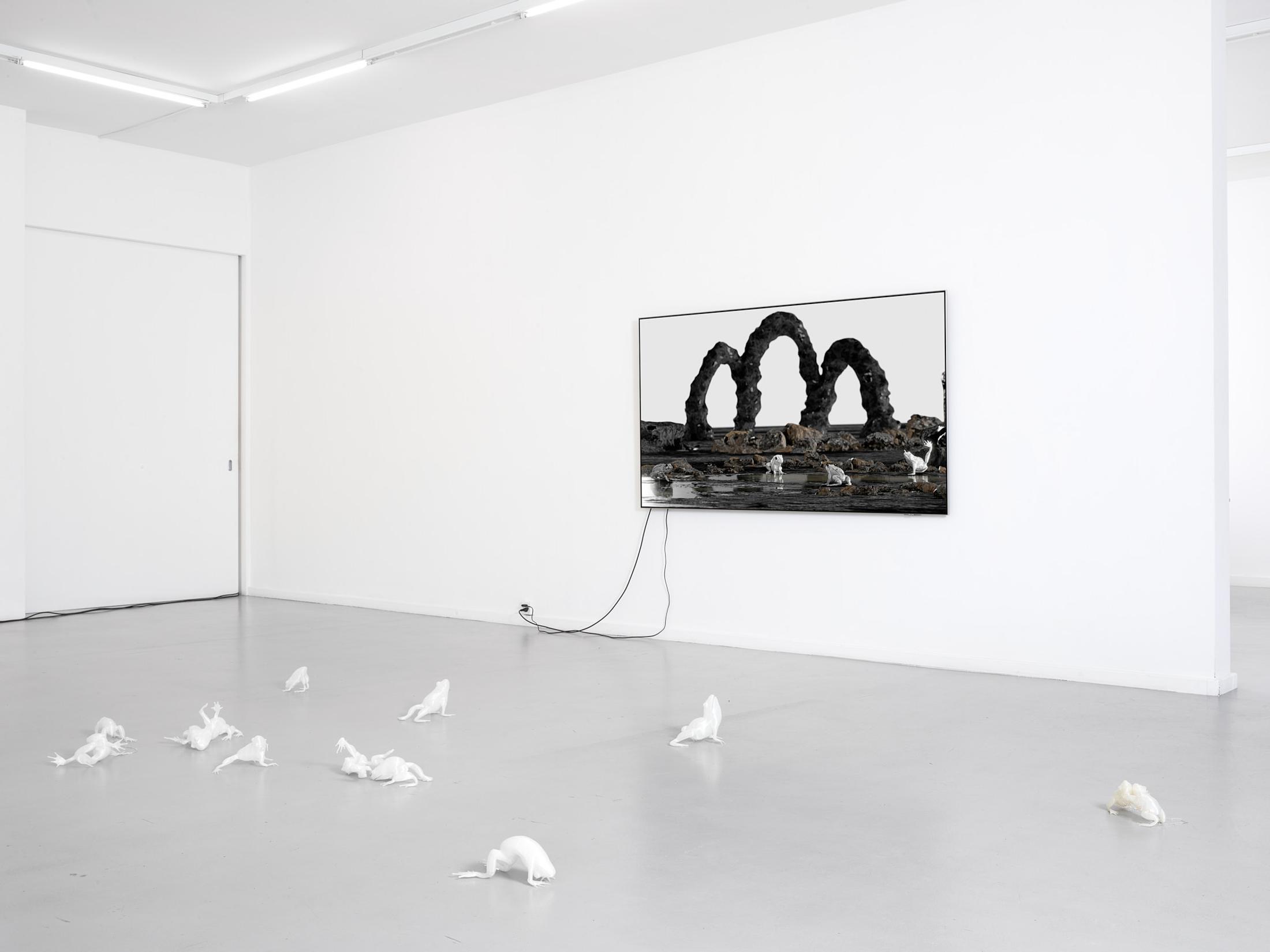 Exhibition View Solo Show Caroline Schattling Villeval «Carences et toute-puissance» at Centre d'édition contemporaine, Geneva, 2024 / Photo: Sandra Pointet / Courtesy: the artist and Centre d'édition contemporaine, Geneva