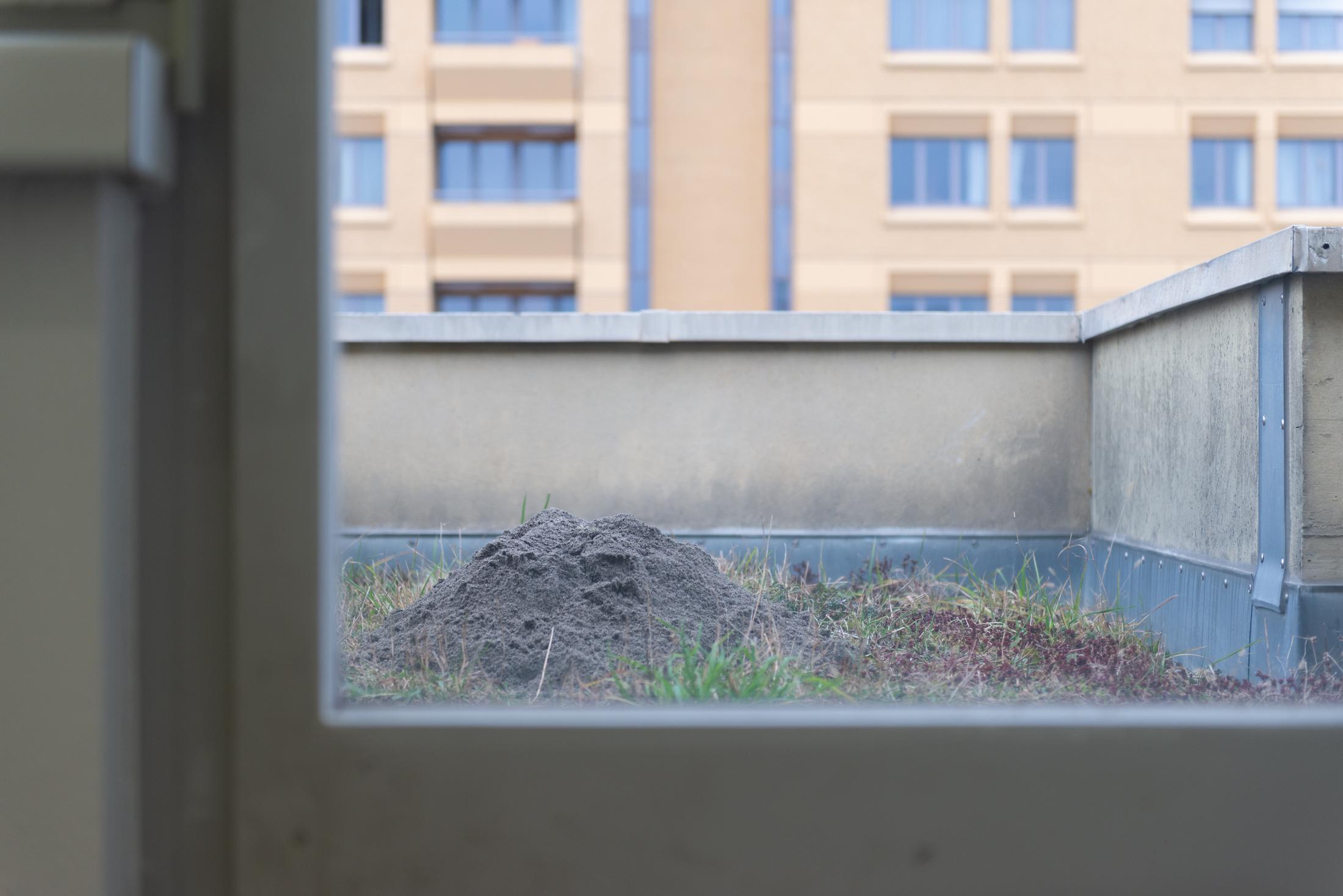 Exhibition View Duo Show with Julia Skof and Andrea Fortmann «certain opening acts» at HAMLET, Zurich-Oerlikon, 2025 / Photo: Alice Speller / Courtesy: the artists and HAMLET