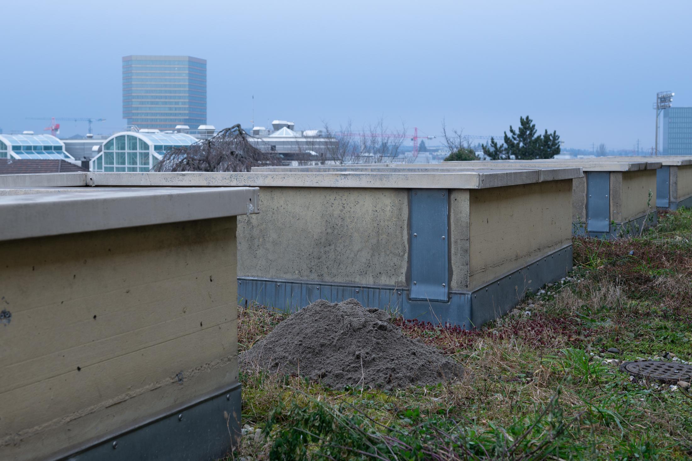 Exhibition View Duo Show with Julia Skof and Andrea Fortmann «certain opening acts» at HAMLET, Zurich-Oerlikon, 2025 / Photo: Alice Speller / Courtesy: the artists and HAMLET