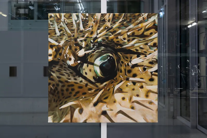 Exhibition View Solo Show Diogo Pinto «Cherrypickers ; view on Diogo Pinto, Igelfisch, 2024, Oil on canvas, 130 x 130 cm», der TANK, Institute Art Gender Nature HGK Basel FHNW, Basel, 2024 / Photo: Finn Curry / Courtesy: the artist and der TANK