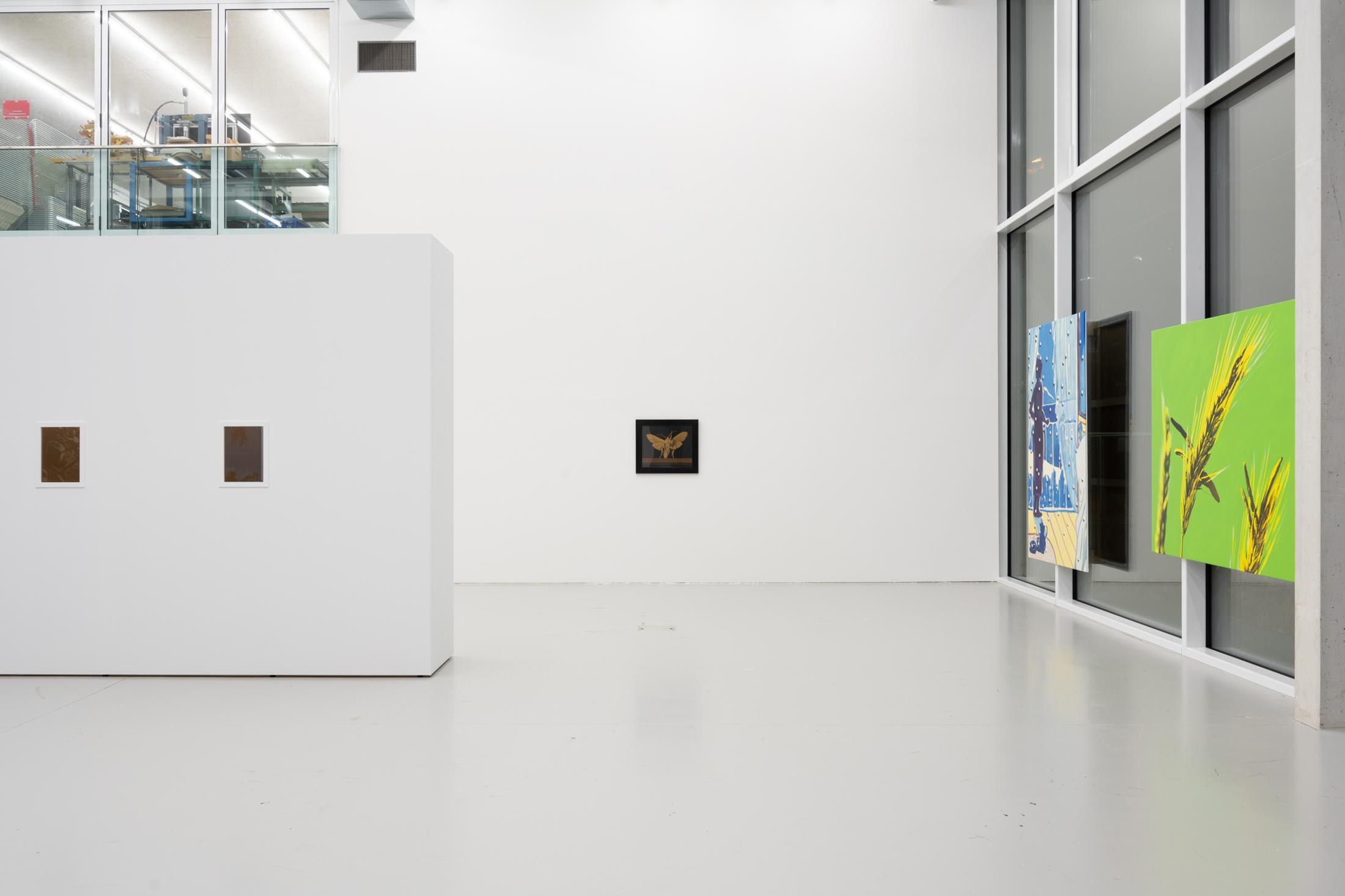 Exhibition View Solo Show Diogo Pinto «Cherrypickers ; view on Gérard Ifert, Geheimnisvoller Mond / 1–6, detail, 1952, Series of 6 brochures, letterpress, 21 x 10 cm», der TANK, Institute Art Gender Nature HGK Basel FHNW, Basel, 2024 / Photo: Finn Curry / Courtesy: Novartis Company Archives, Basel