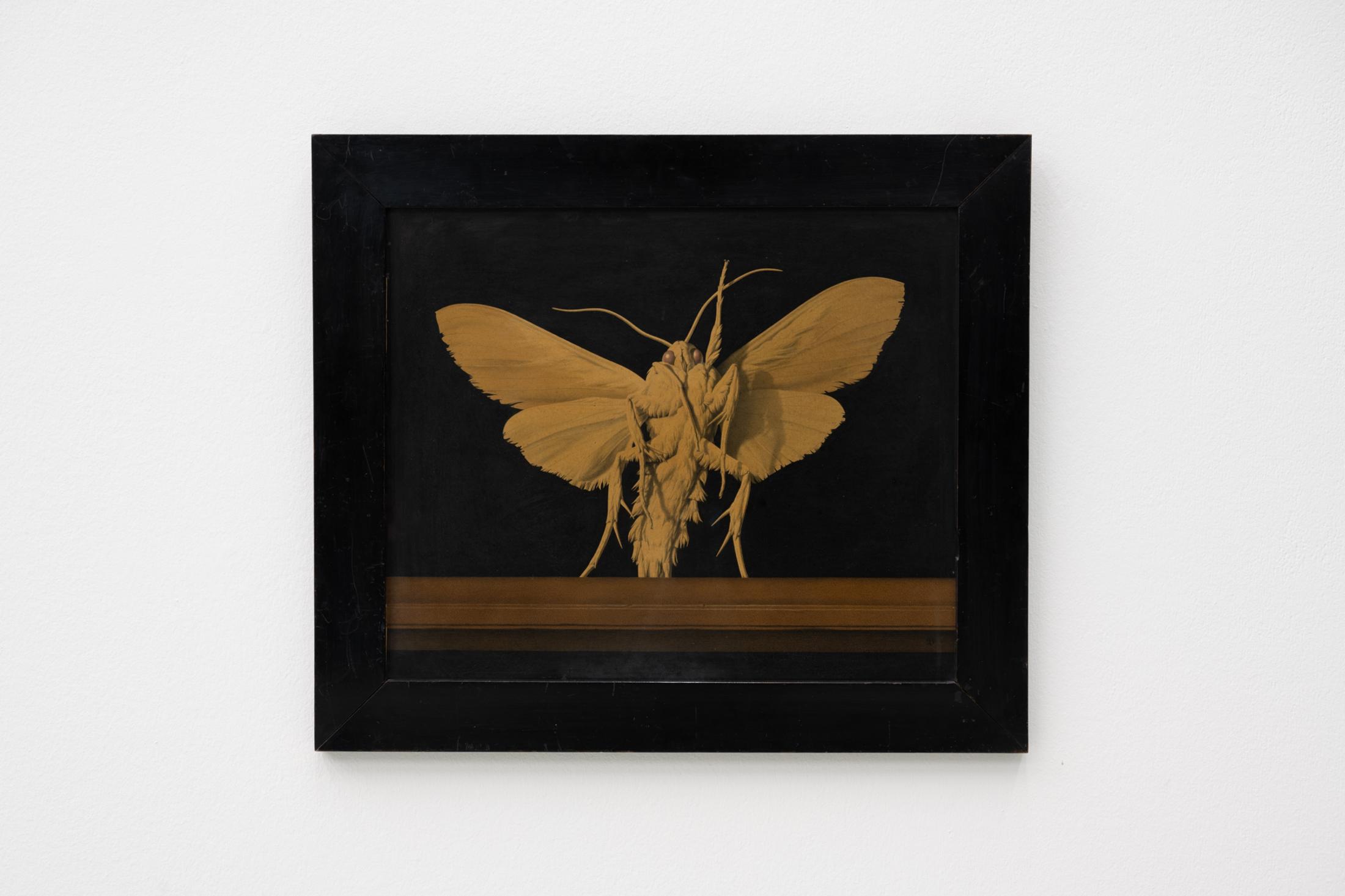 Exhibition View Solo Show Diogo Pinto «Cherrypickers ; view on Gérard Ifert, Geheimnisvoller Mond / 1–6, detail, 1952, Series of 6 brochures, letterpress, 21 x 10 cm», der TANK, Institute Art Gender Nature HGK Basel FHNW, Basel, 2024 / Photo: Finn Curry / Courtesy: Novartis Company Archives, Basel