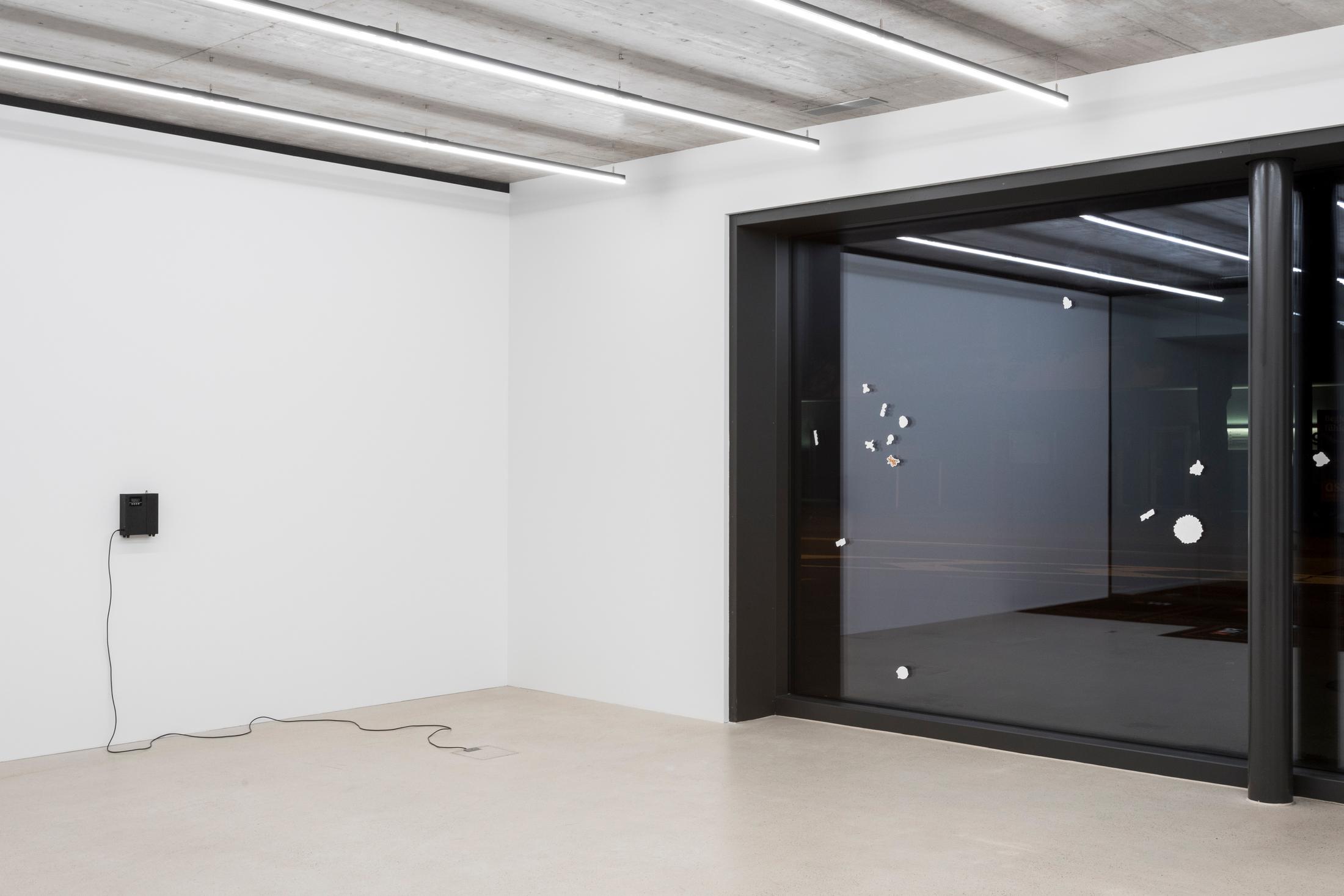 Installation View Joint Exhibition Dorota Gawęda and Eglė Kulbokaitė, David Moser «Shared Location» at Windhager von Kaenel, Zug, 2024 / Photo: Oliver Kümmerli / Courtesy: the artists and Windhager von Kaenel