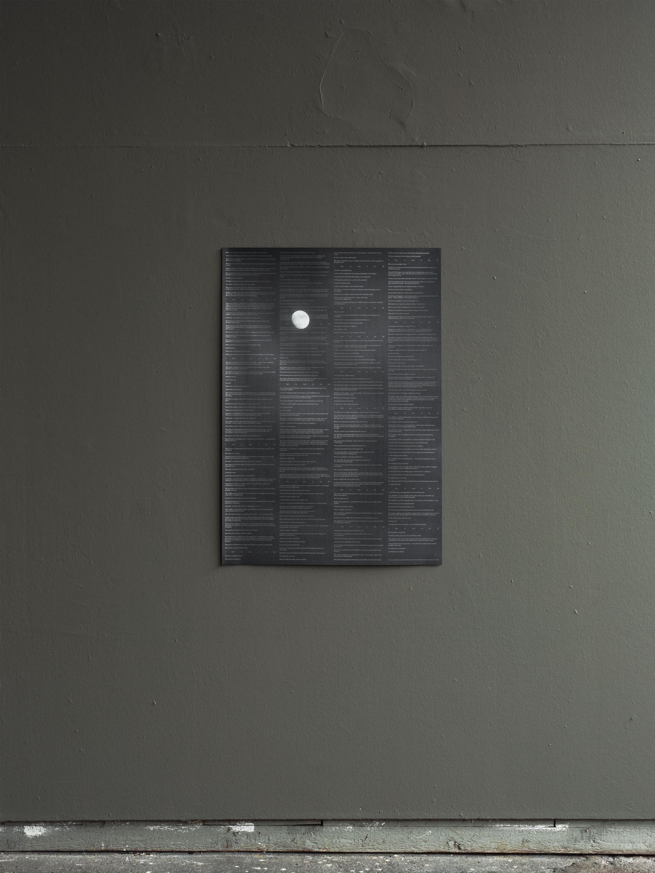 Exhibition View Solo Show Edit Oderbolz «I Have No Roots in This Life» at Kunsthalle Arbon, Arbon, 2024 / Photo: Ladina Bischof / Courtesy: The artist and Kunsthalle Arbon