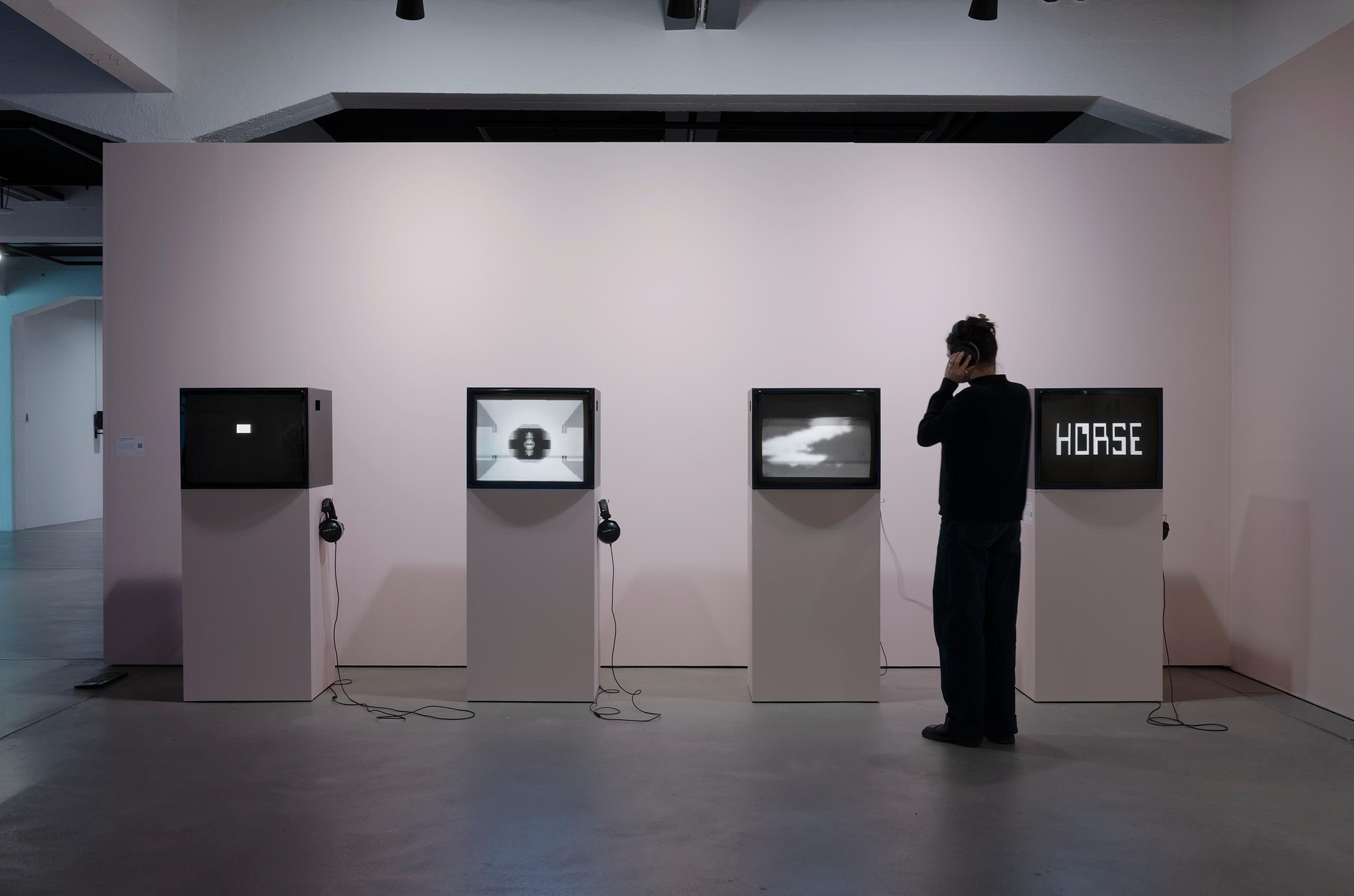 Exhibition View Group Show «Esther Hunziker, Stefan Karrer and Alfatih; view on Esther Hunziker, TV, 1996, Slide 2, 1994, Frames, 1996, Horse, 1995» at HEK (House of Electronic Arts), Basel, 2025 / Photo: Franz Wamhof / Courtesy: the artists and Schweizer Medienkunst – Pax Art Awards 2024