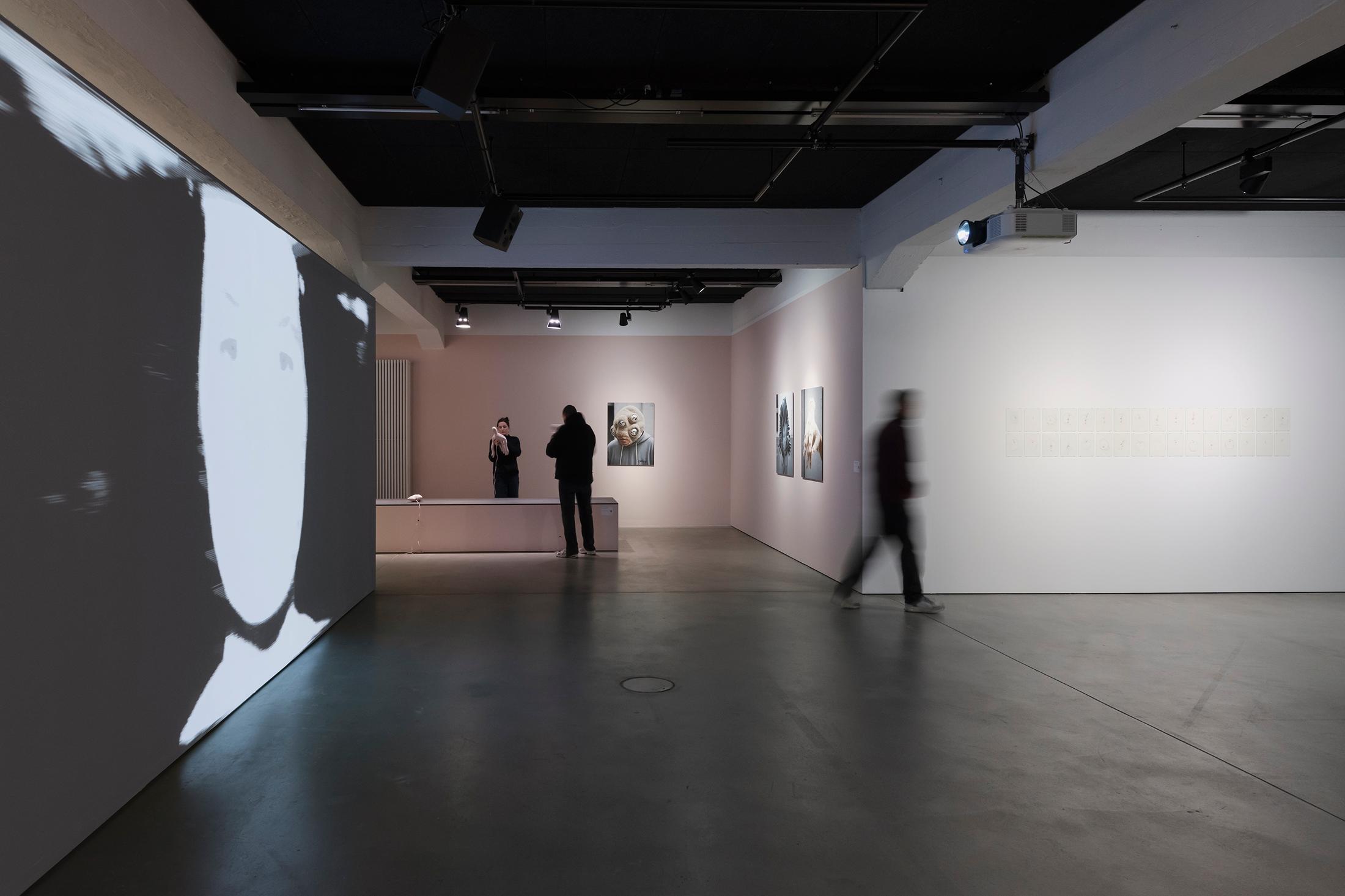 Exhibition View Group Show «Esther Hunziker, Stefan Karrer and Alfatih» at HEK (House of Electronic Arts), Basel, 2025 / Photo: Franz Wamhof / Courtesy: the artists and Schweizer Medienkunst – Pax Art Awards 2024