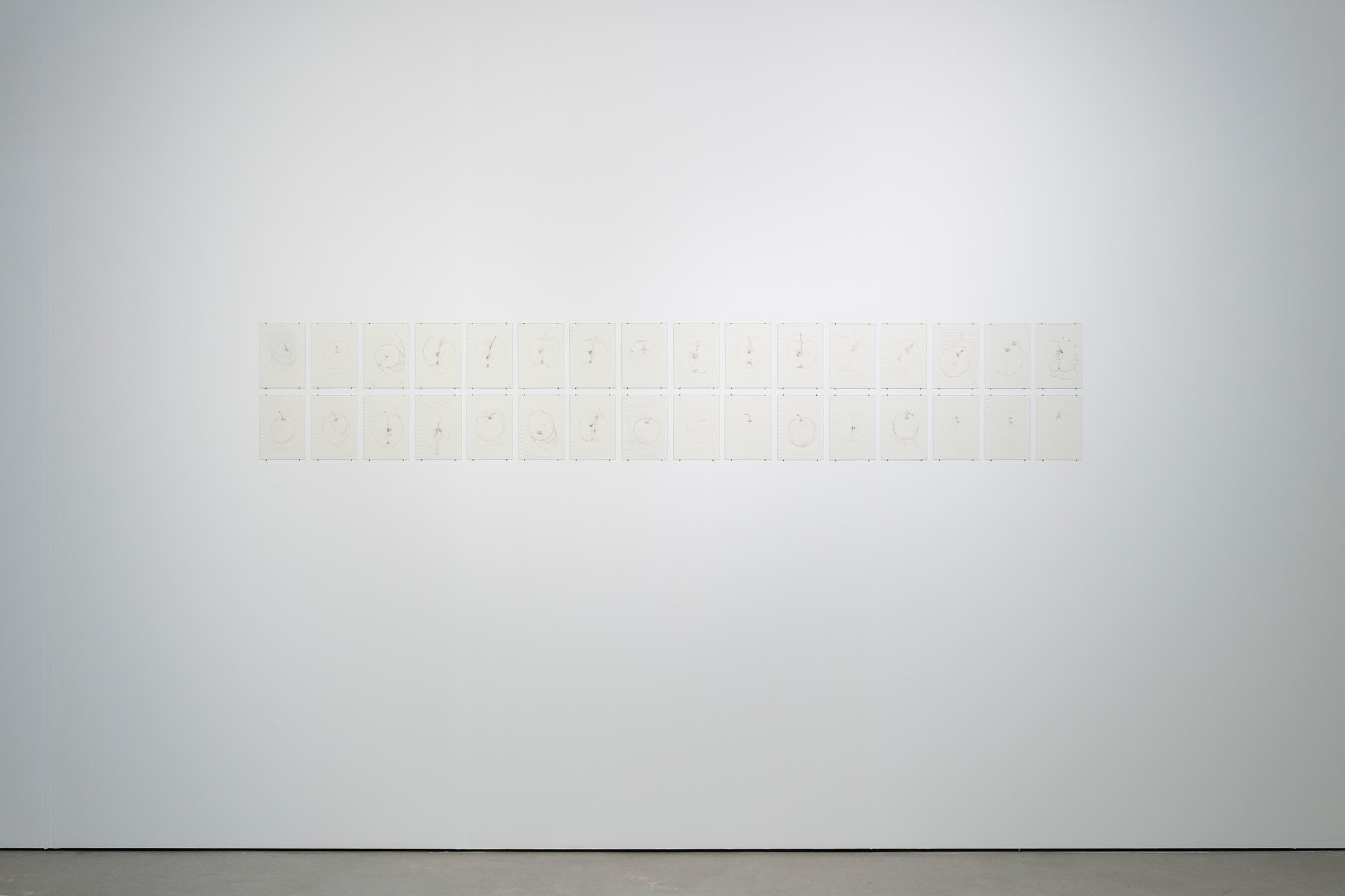 Exhibition View Group Show «Esther Hunziker, Stefan Karrer and Alfatih; view on Stefan Karrer, An Apple A Day, 2025» at HEK (House of Electronic Arts), Basel, 2025 / Photo: Franz Wamhof / Courtesy: the artists and Schweizer Medienkunst – Pax Art Awards 2024