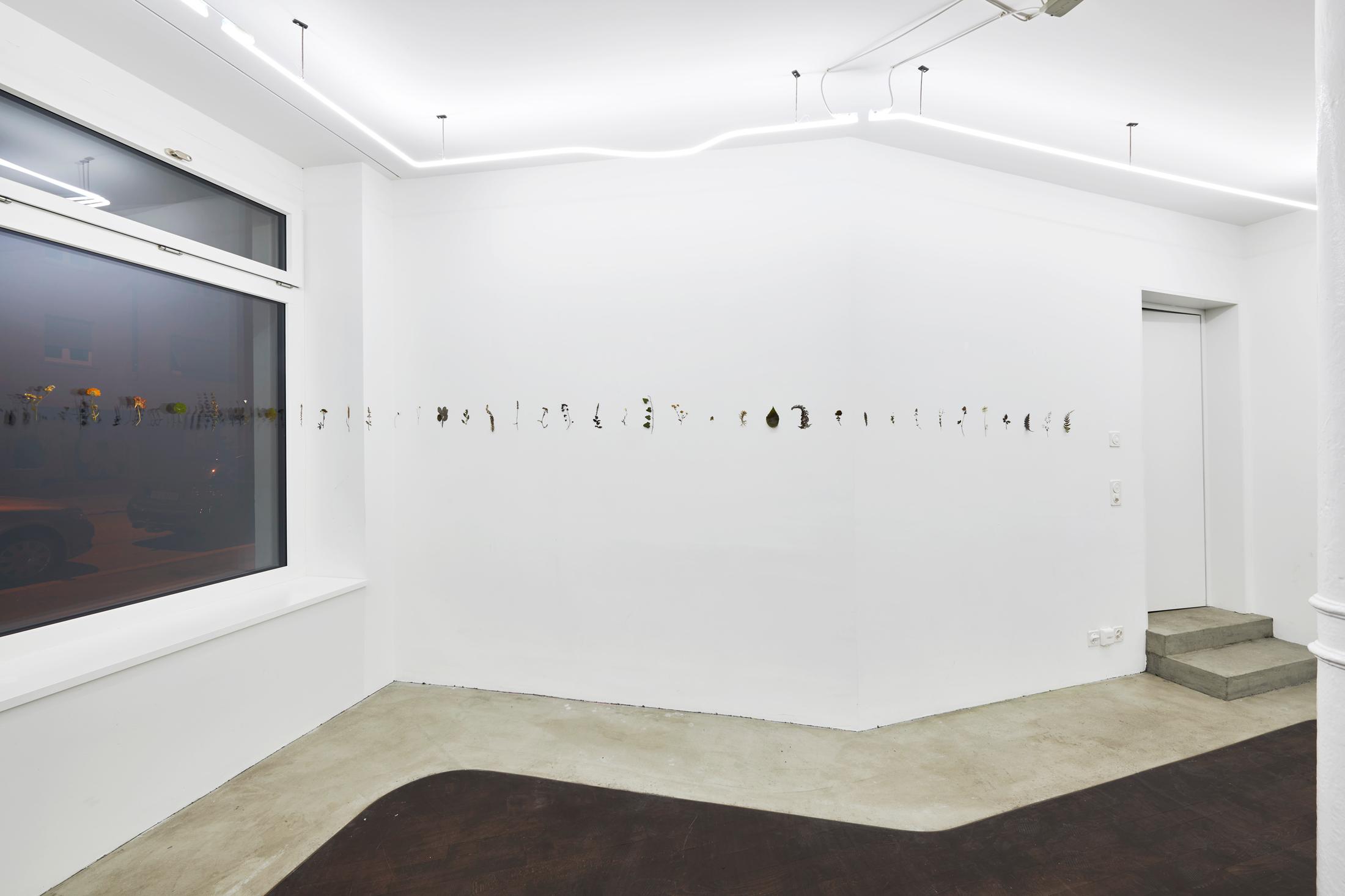 Exhibition View Solo Show Fattucchiere «Cuore mangiato, guscio di fiore» at Kulturfolger, Zurich, 2023-2024 / Photo: Anna Maysuk / Courtesy: the artists and Kulturfolger