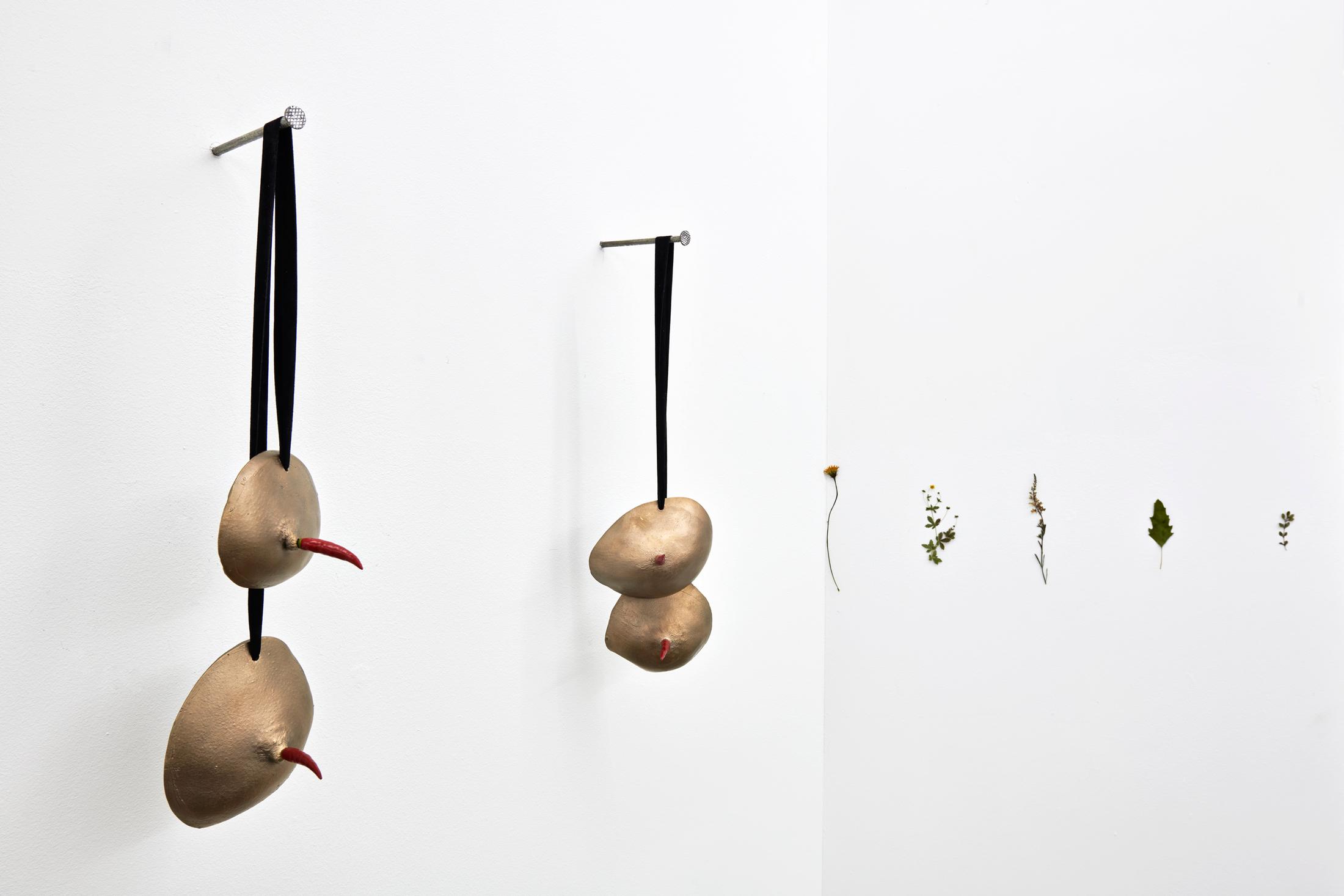 Exhibition View Solo Show Fattucchiere «Cuore mangiato, guscio di fiore» at Kulturfolger, Zurich, 2023-2024 / Photo: Anna Maysuk / Courtesy: the artists and Kulturfolger