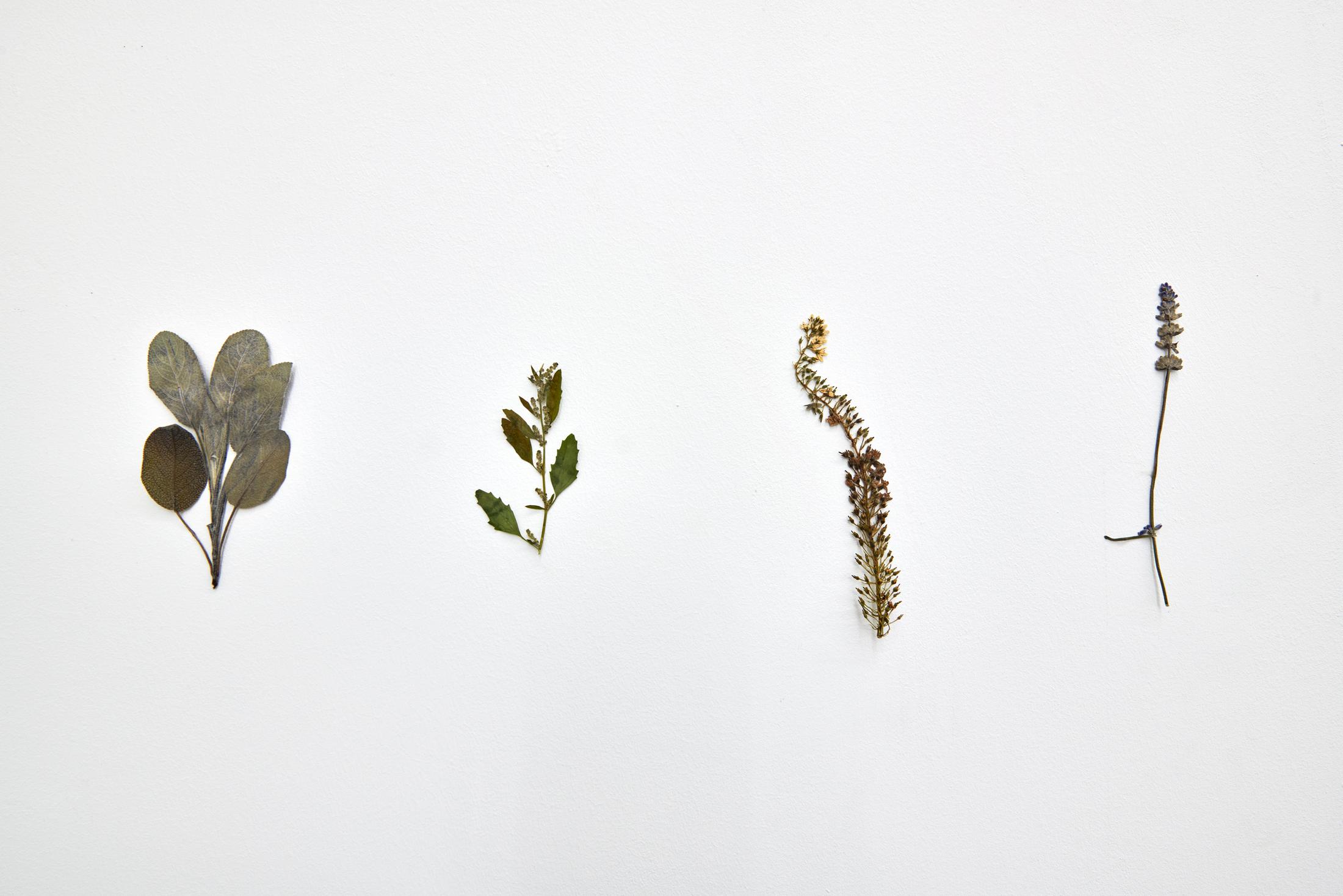 Exhibition View Solo Show Fattucchiere «Cuore mangiato, guscio di fiore» at Kulturfolger, Zurich, 2023-2024 / Photo: Anna Maysuk / Courtesy: the artists and Kulturfolger