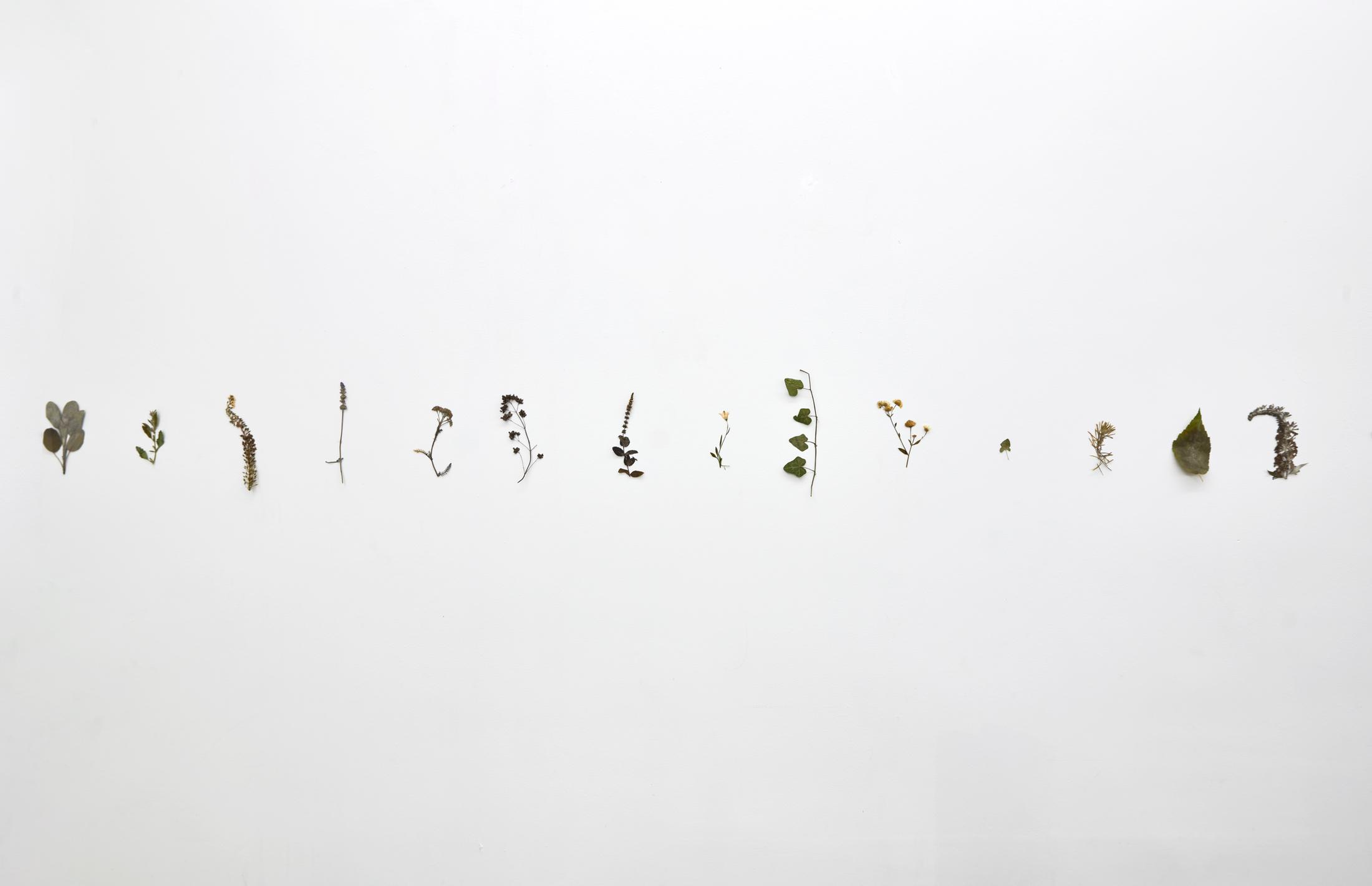 Exhibition View Solo Show Fattucchiere «Cuore mangiato, guscio di fiore» at Kulturfolger, Zurich, 2023-2024 / Photo: Anna Maysuk / Courtesy: the artists and Kulturfolger