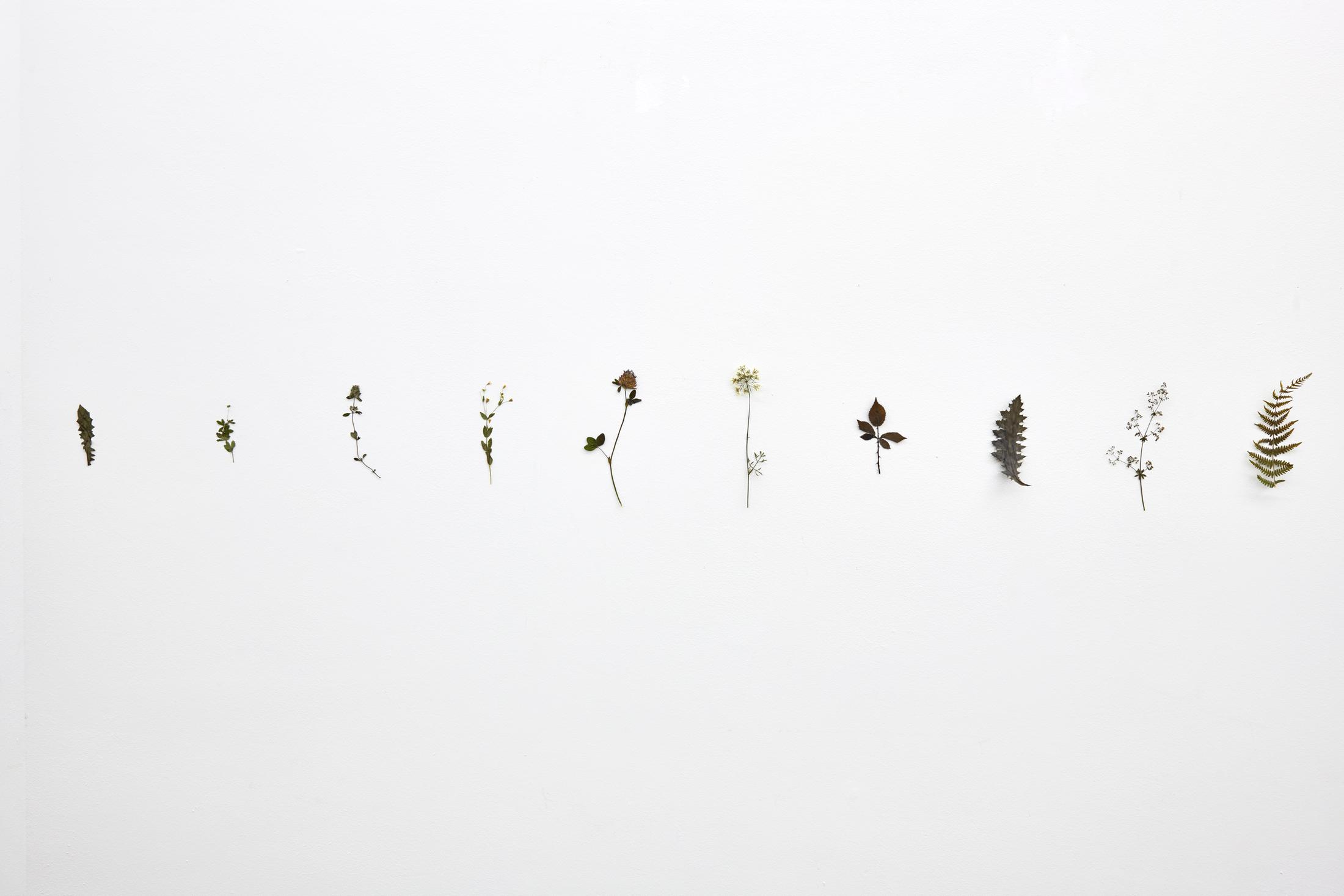 Exhibition View Solo Show Fattucchiere «Cuore mangiato, guscio di fiore» at Kulturfolger, Zurich, 2023-2024 / Photo: Anna Maysuk / Courtesy: the artists and Kulturfolger