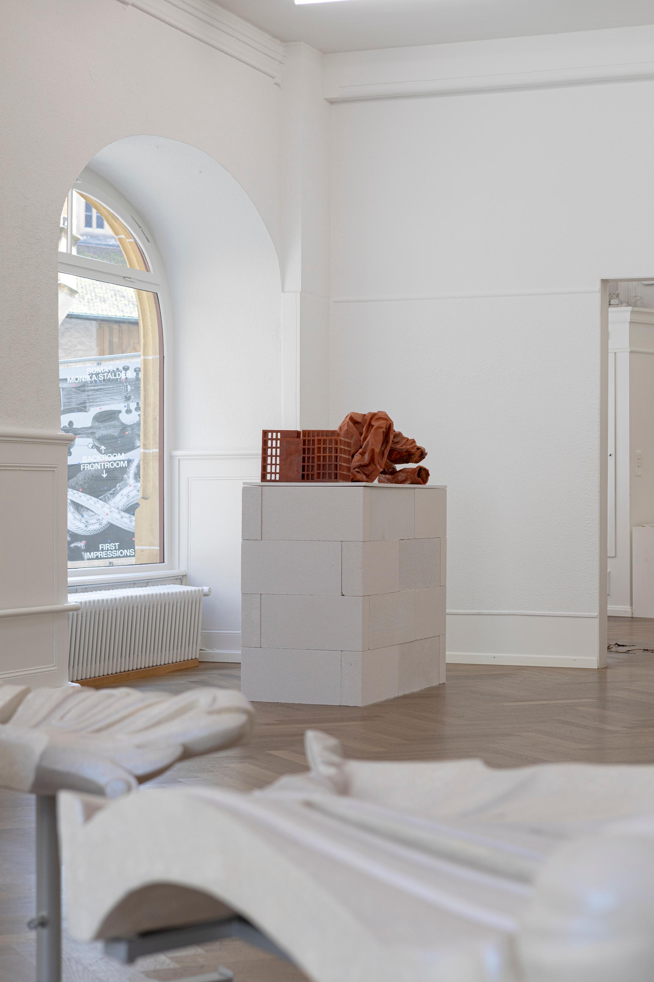 Exhibition View Group Show «First Impressions» at Krone Couronne, Biel, 2024 / Photo: Michal Florence Schorro / Courtesy: The artists and Krone Couronne