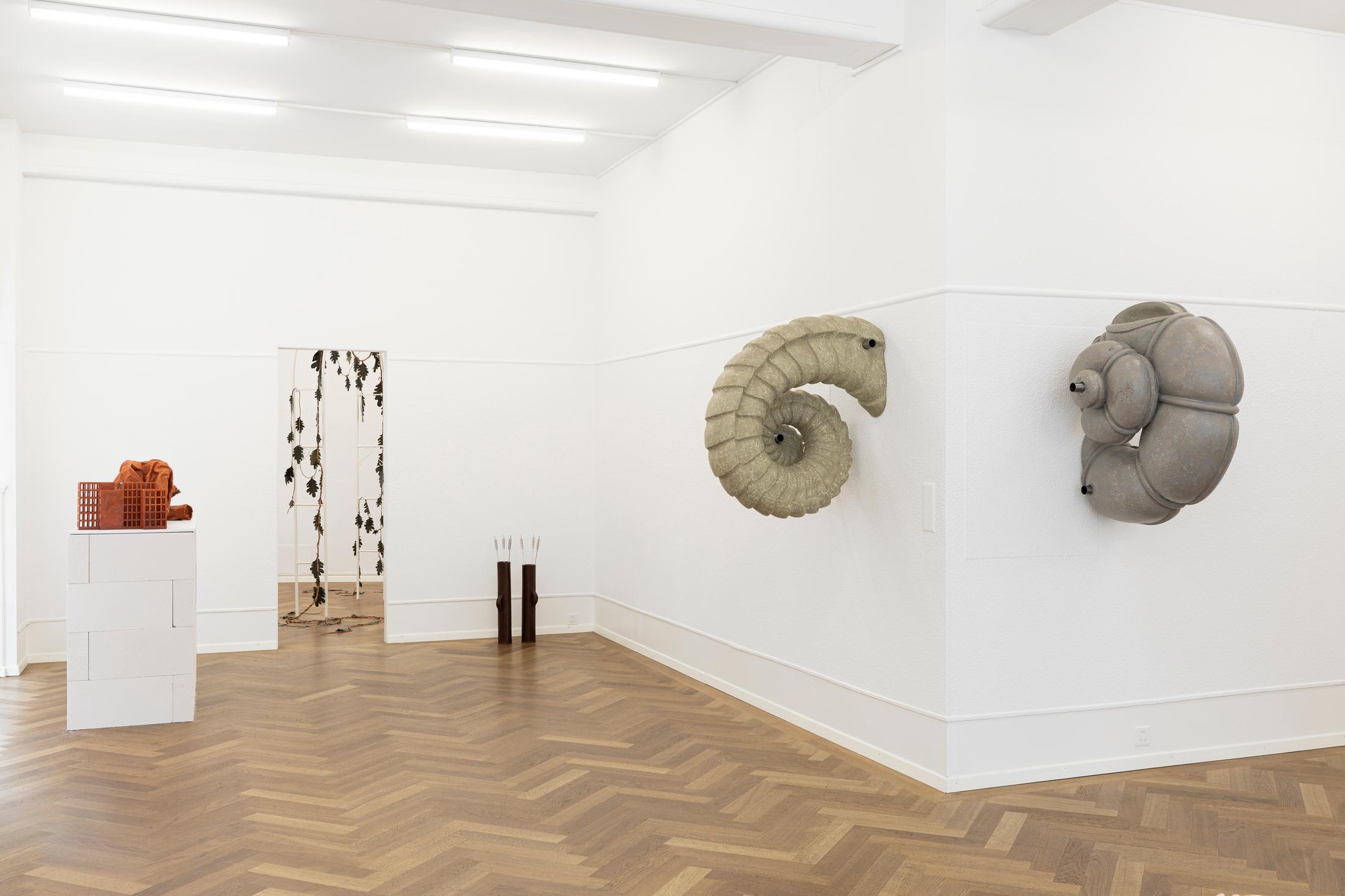 Exhibition View Group Show «First Impressions» at Krone Couronne, Biel, 2024 / Photo: Michal Florence Schorro / Courtesy: The artists and Krone Couronne