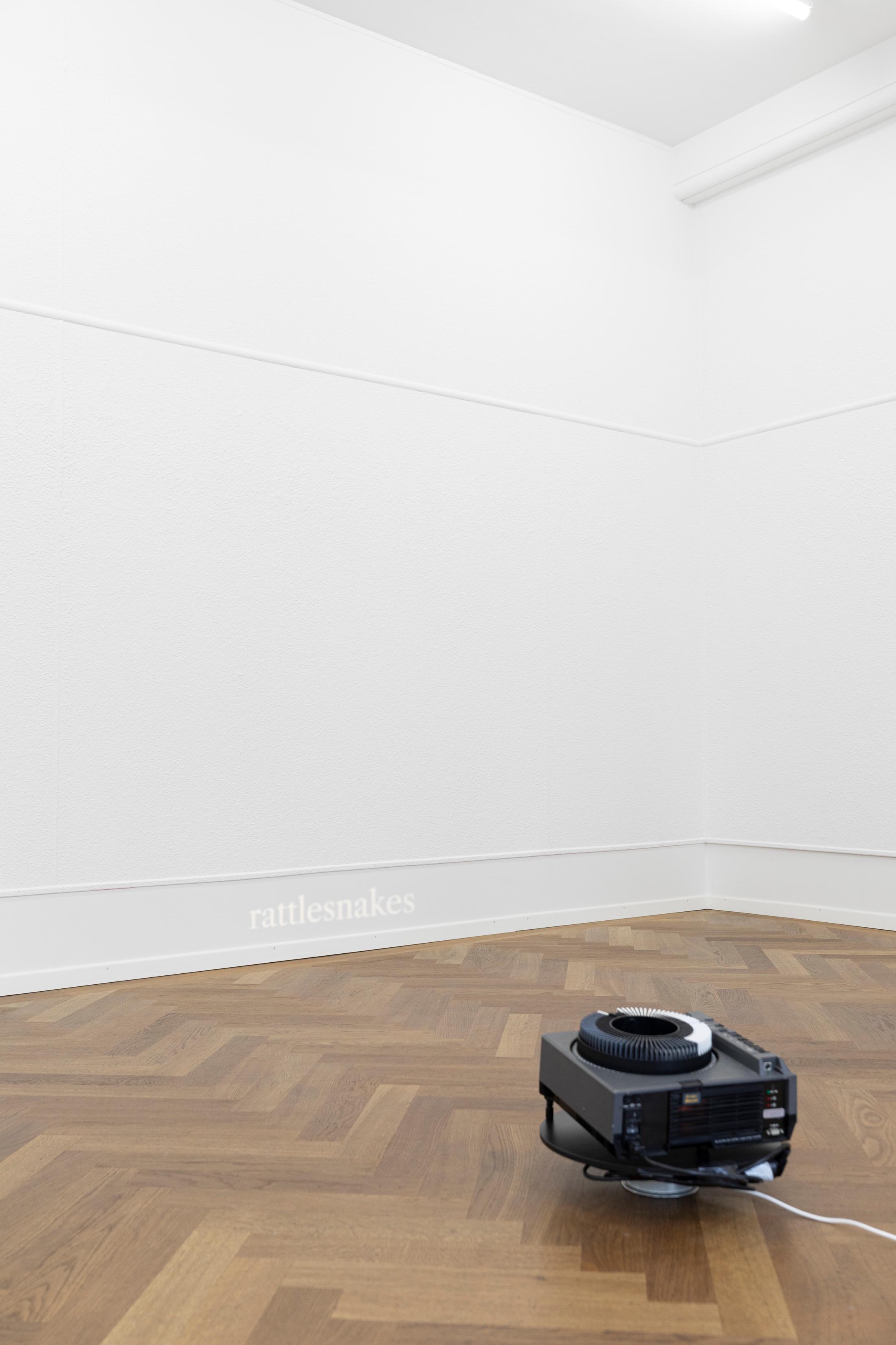 Exhibition View Group Show «First Impressions» at Krone Couronne, Biel, 2024 / Photo: Michal Florence Schorro / Courtesy: The artists and Krone Couronne