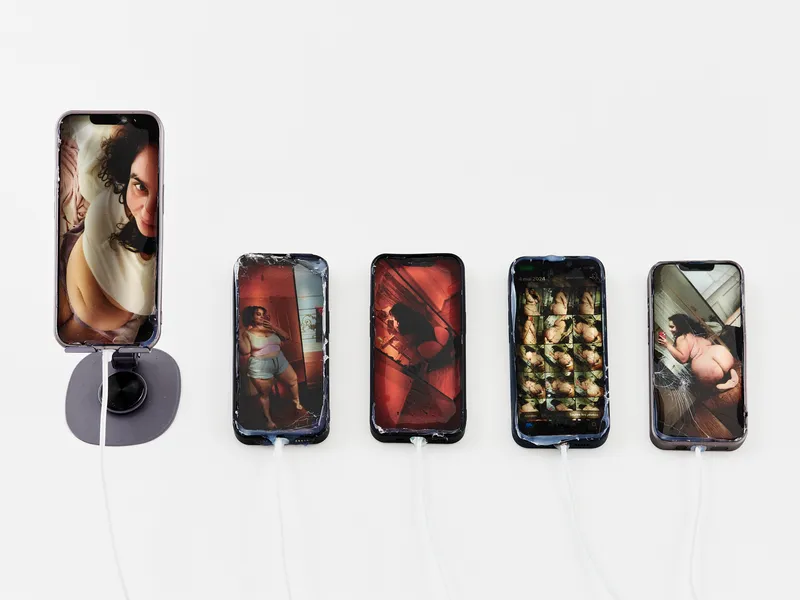 Exhibition View Solo Show Giulia Essyad «INNARDS; view on say you love me bitch, 2024 » at Centre d’Édition Contemporaine Genève, Geneva, 2024 / Photo: Sandra Pointet / Courtesy: The artist and  Centre d’édition contemporaine Genève