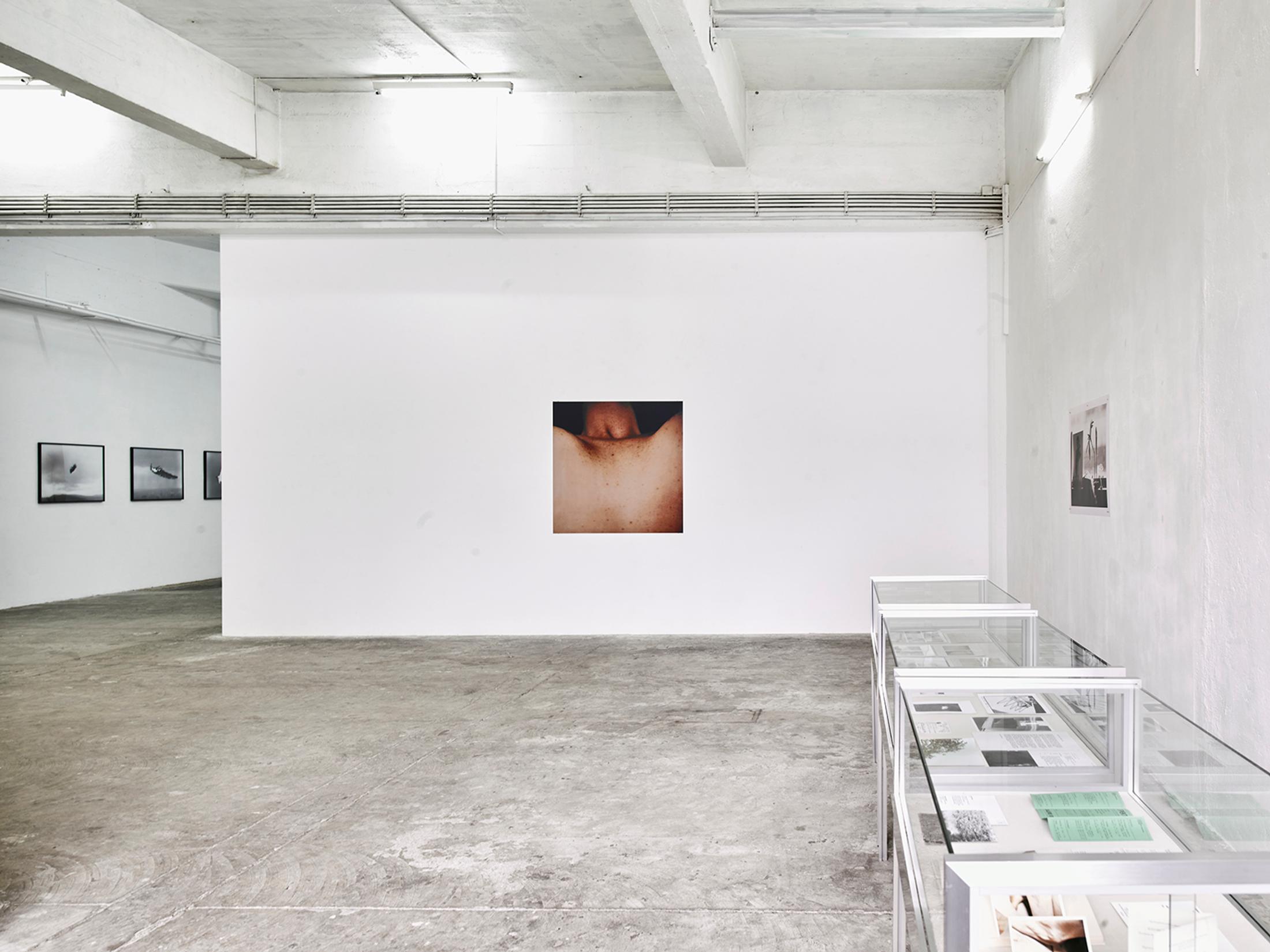 Exhibition View Solo Show «Hannah Villiger» at CIRCUIT, Lausanne, 2023-2024 / Photo: James Pascale / Courtesy: Foundation The estate of Hannah Villiger and CIRCUIT, Centre d'art contemporain